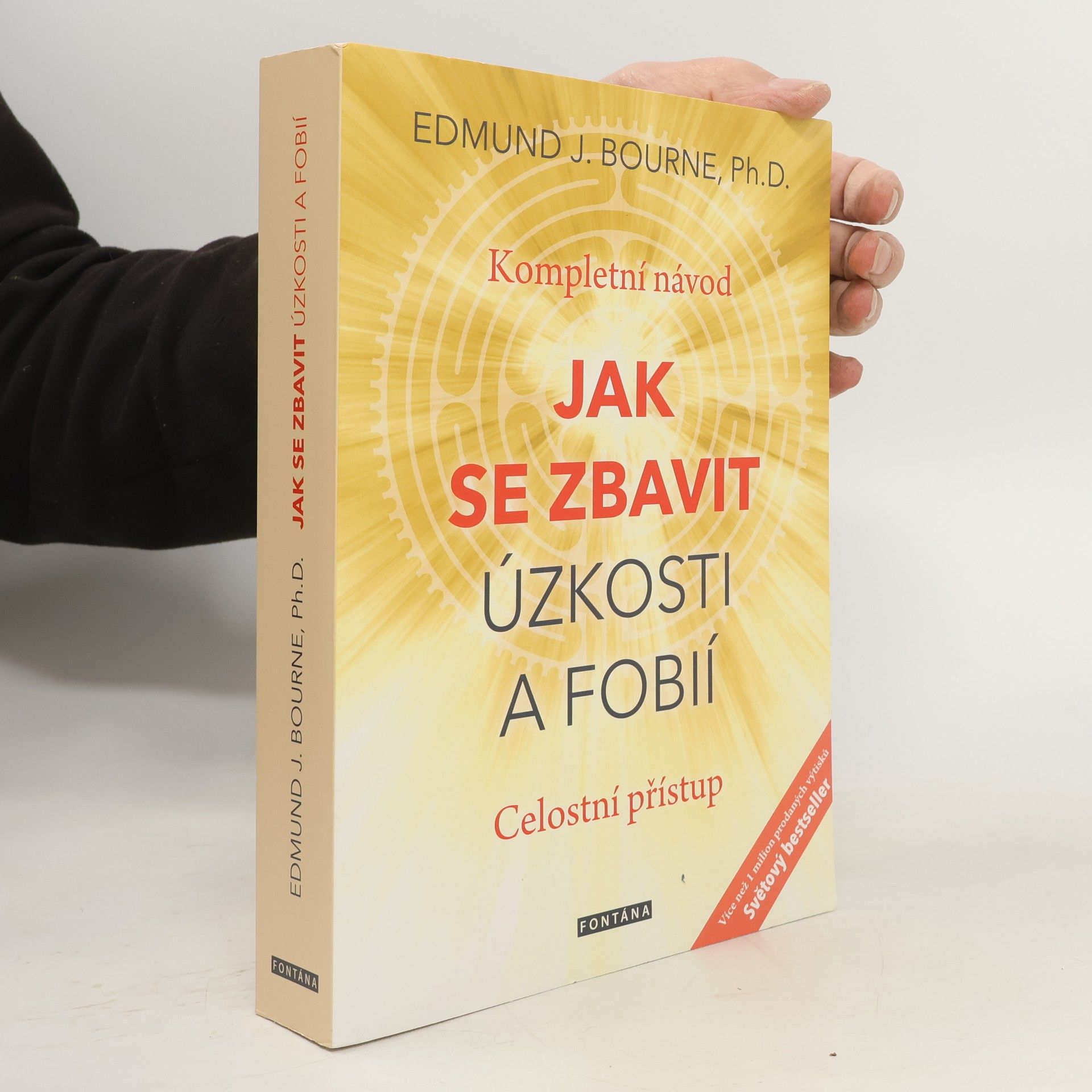 Edmund J. Bourne Jak se zbavit úzkosti a fobií