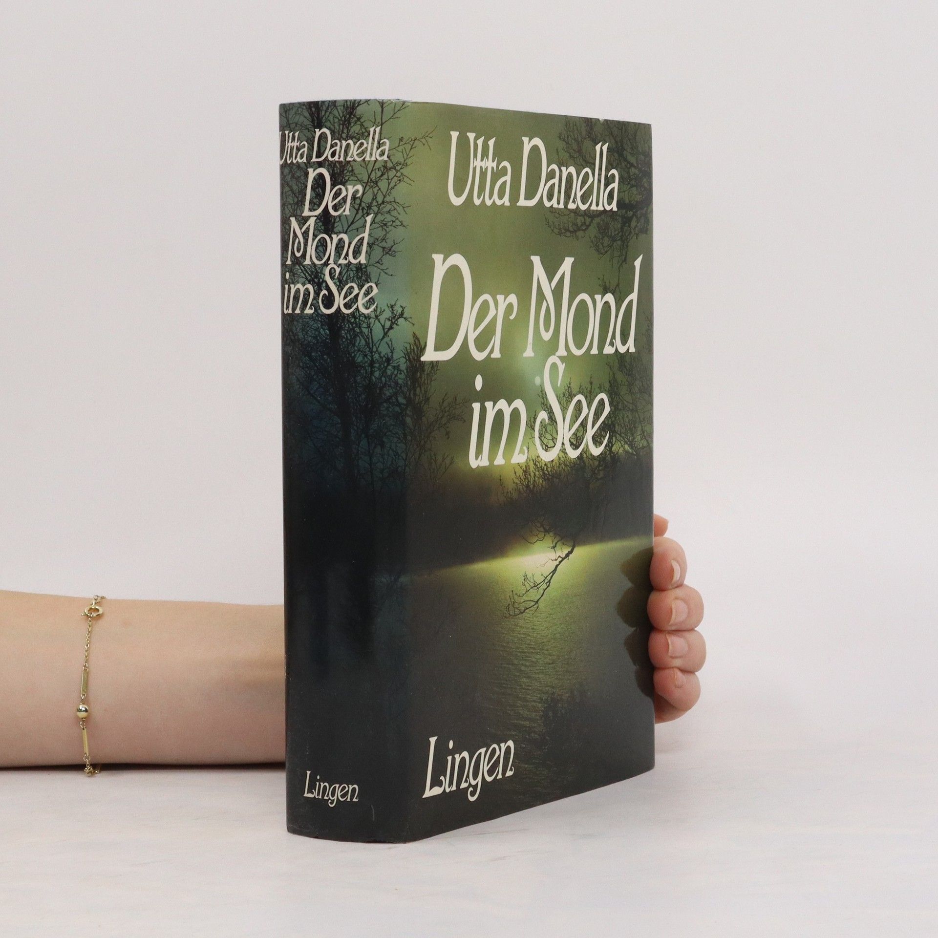 Stephan Dohl Der Mond im See