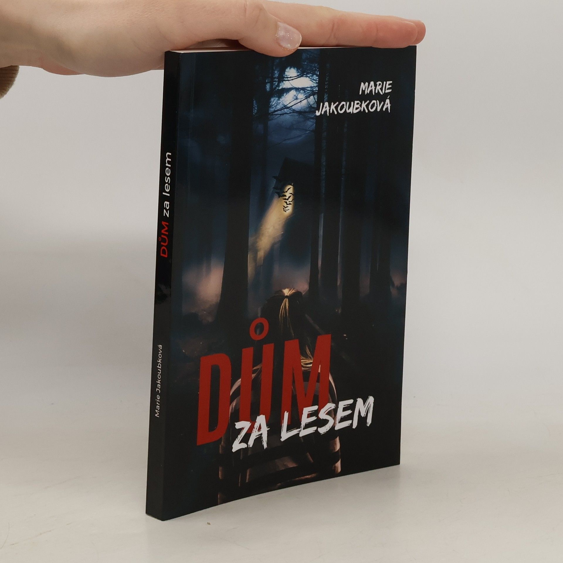 Marie Jakoubková Dům za lesem