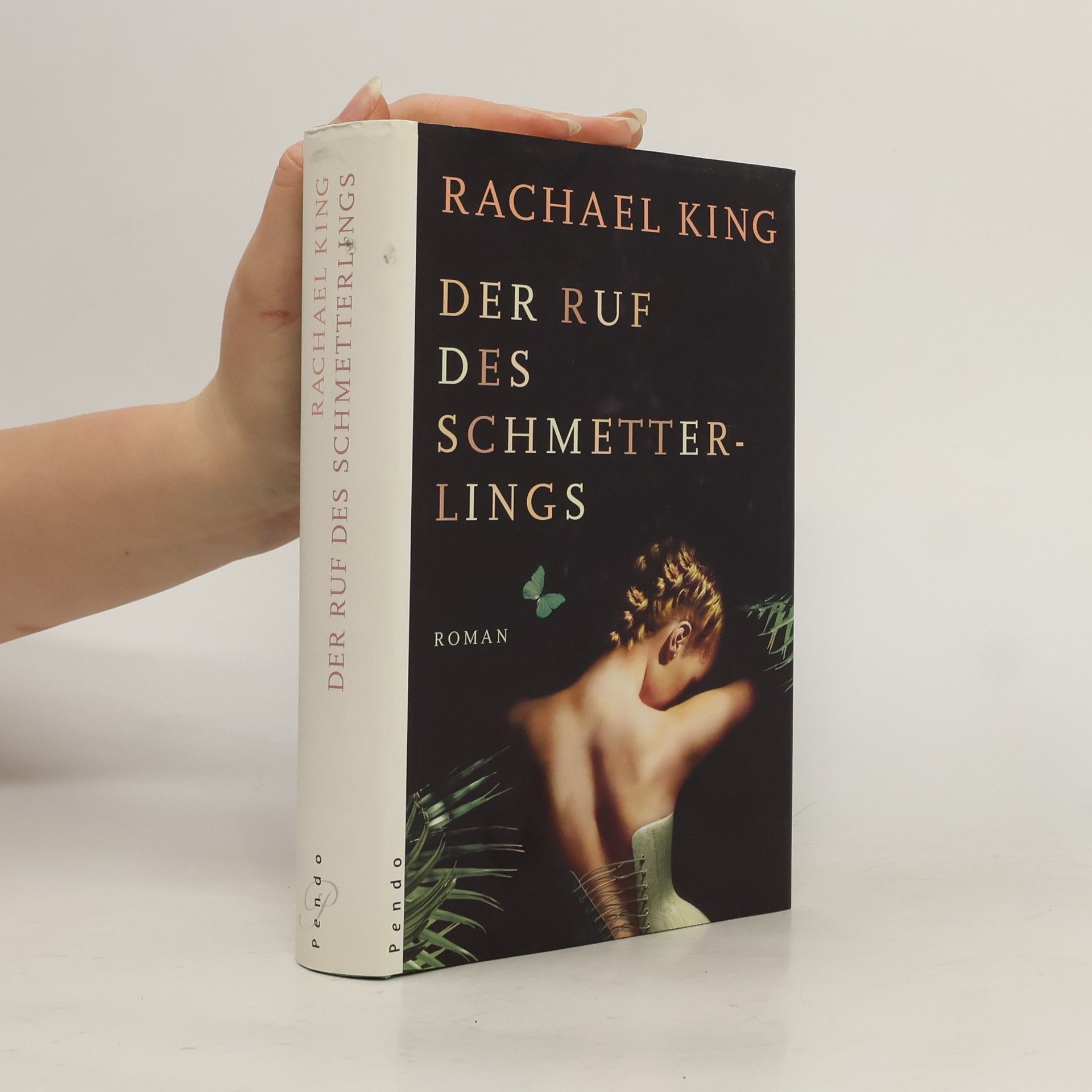 Rachael King Der Ruf des Schmetterlings