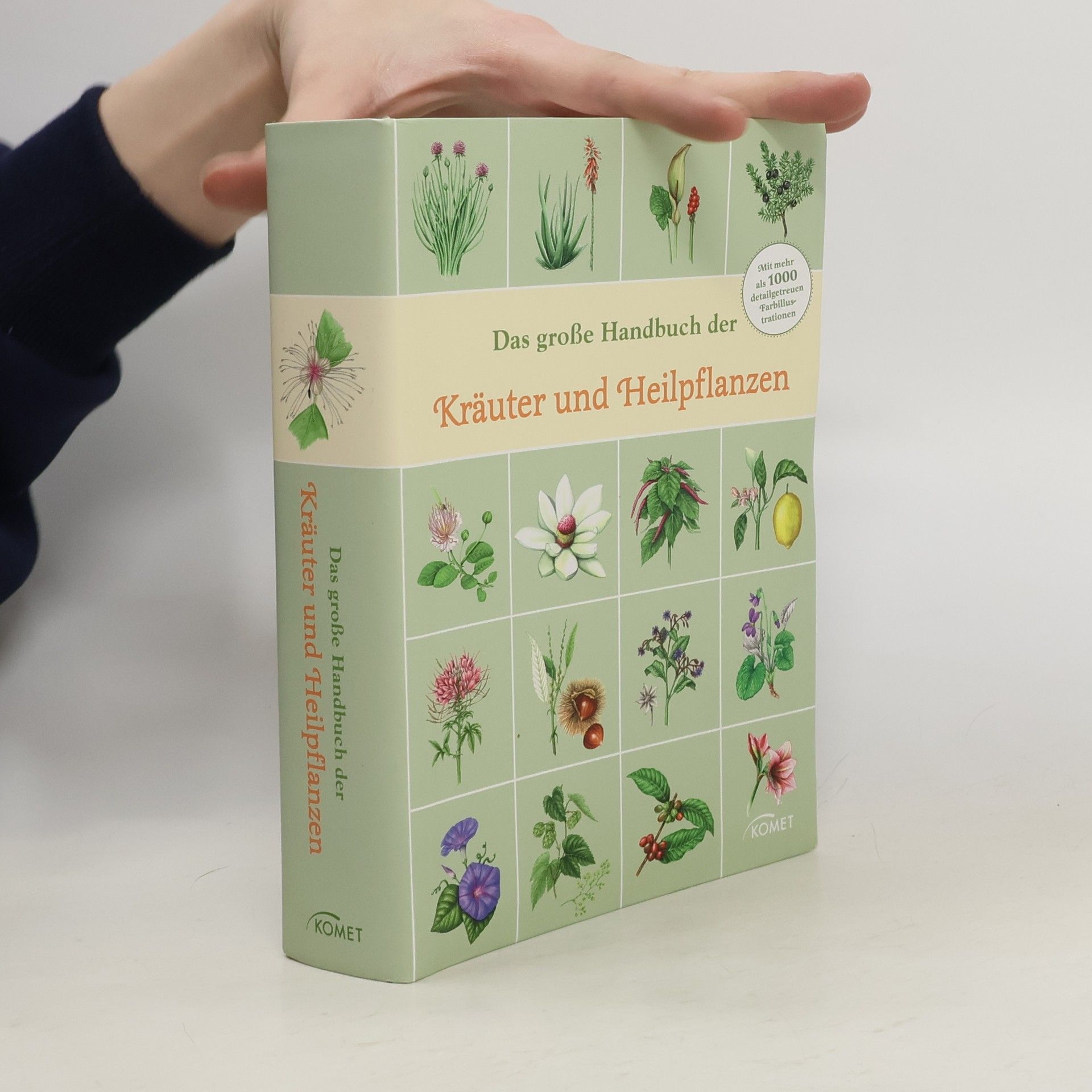 Kolektiv autorů Das große Handbuch der Kräuter und Heilpflanzen