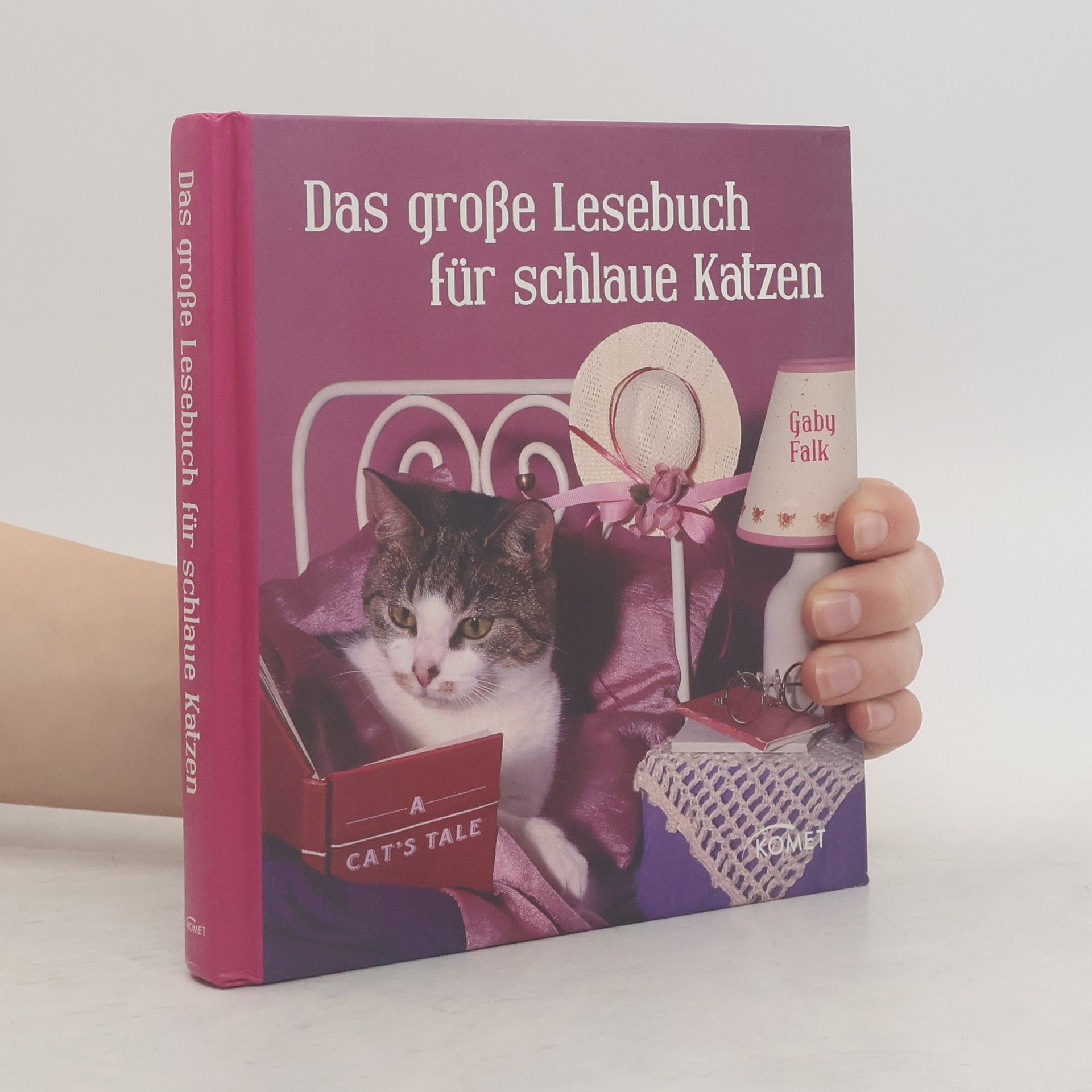 Gaby Falk Das große Lesebuch für schlaue Katzen