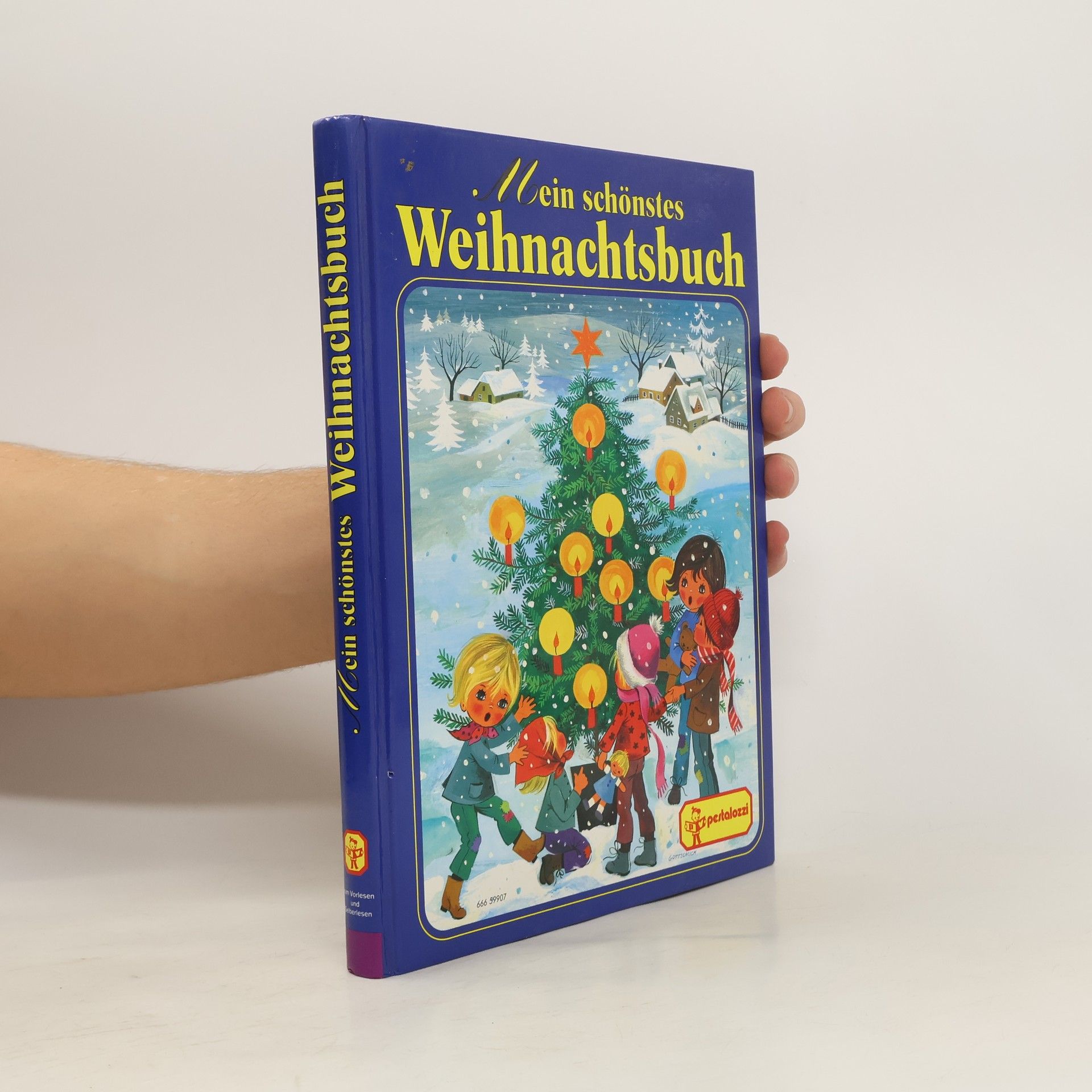 Collectif d'auteurs Mein schönstes Weihnachtsbuch