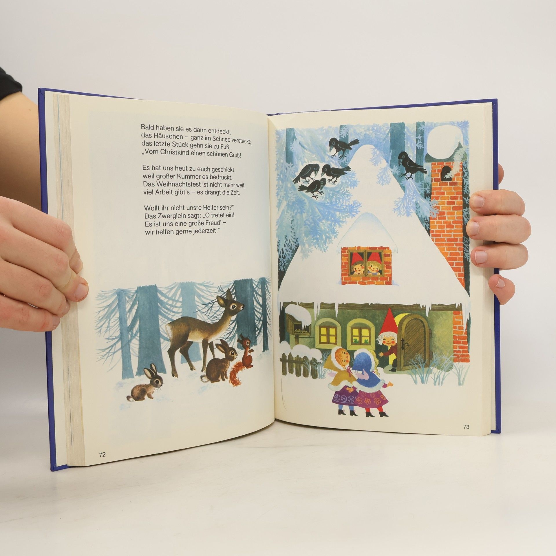 Collectif d'auteurs Mein schönstes Weihnachtsbuch