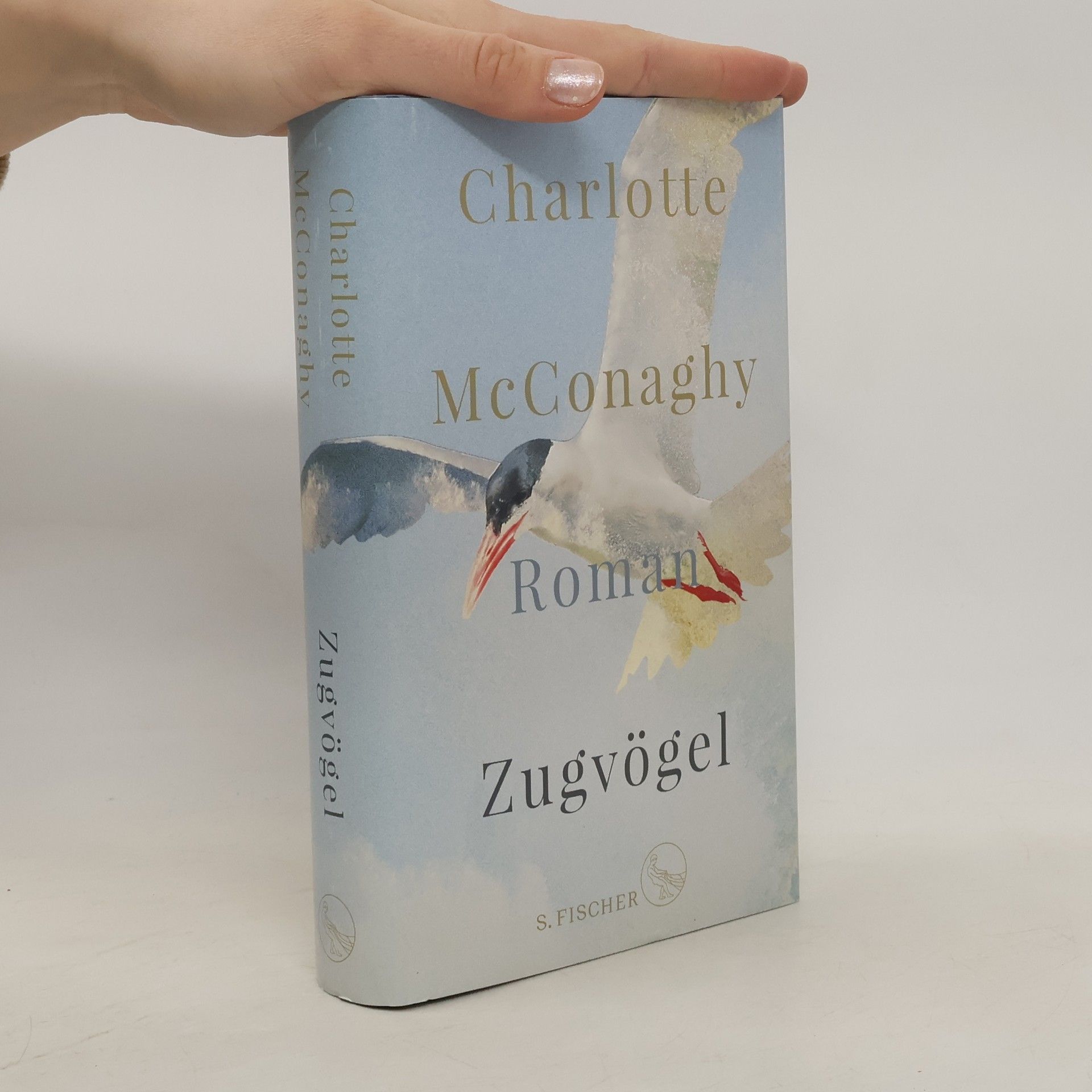 CHARLOTTE. MCCONAGHY Zugvögel