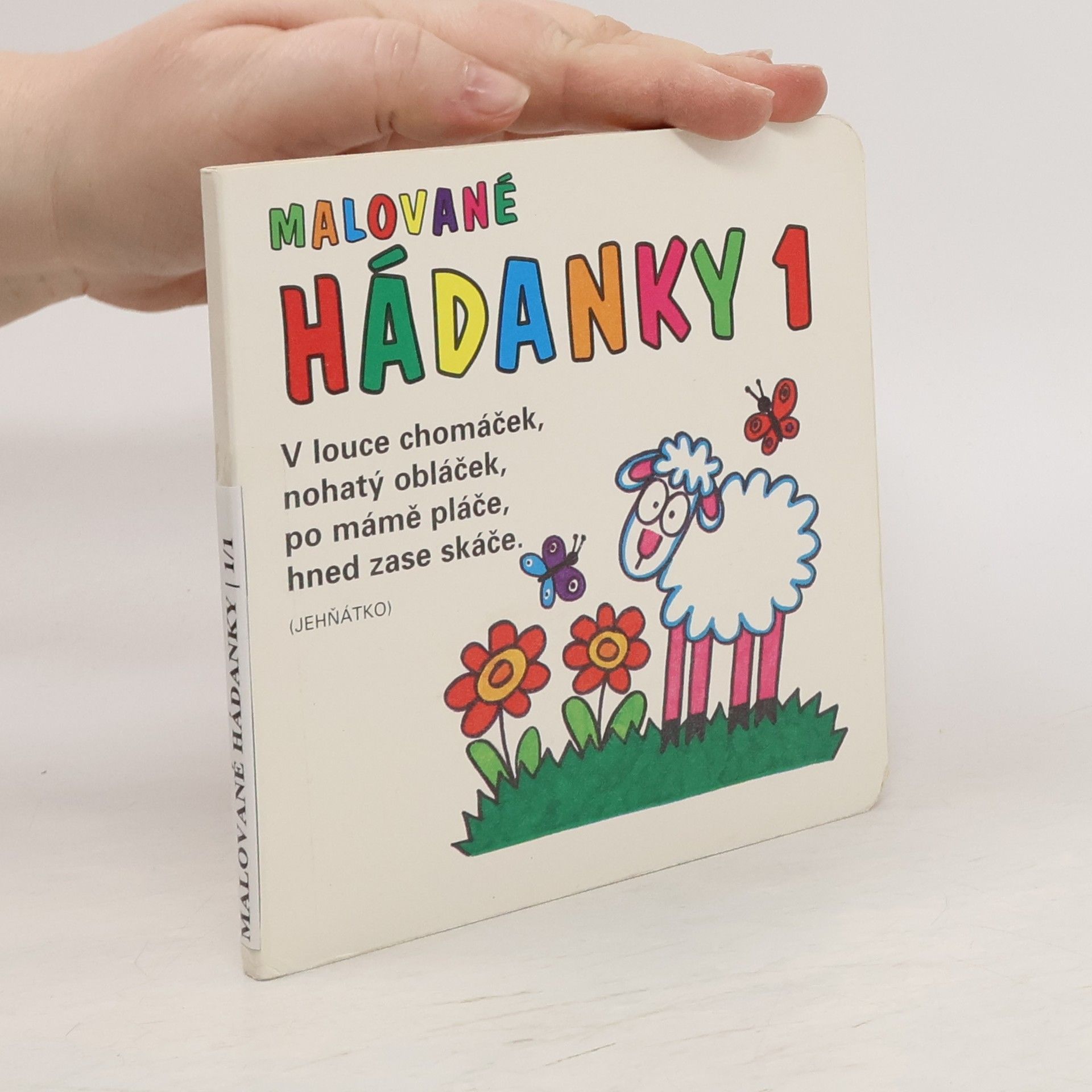 Věra Provazníková Malované hádanky 1