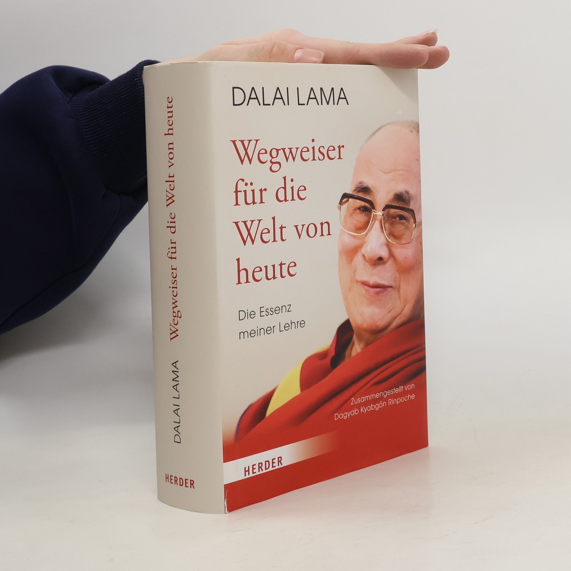 Dalaï-Lama Wegweiser für die Welt von heute