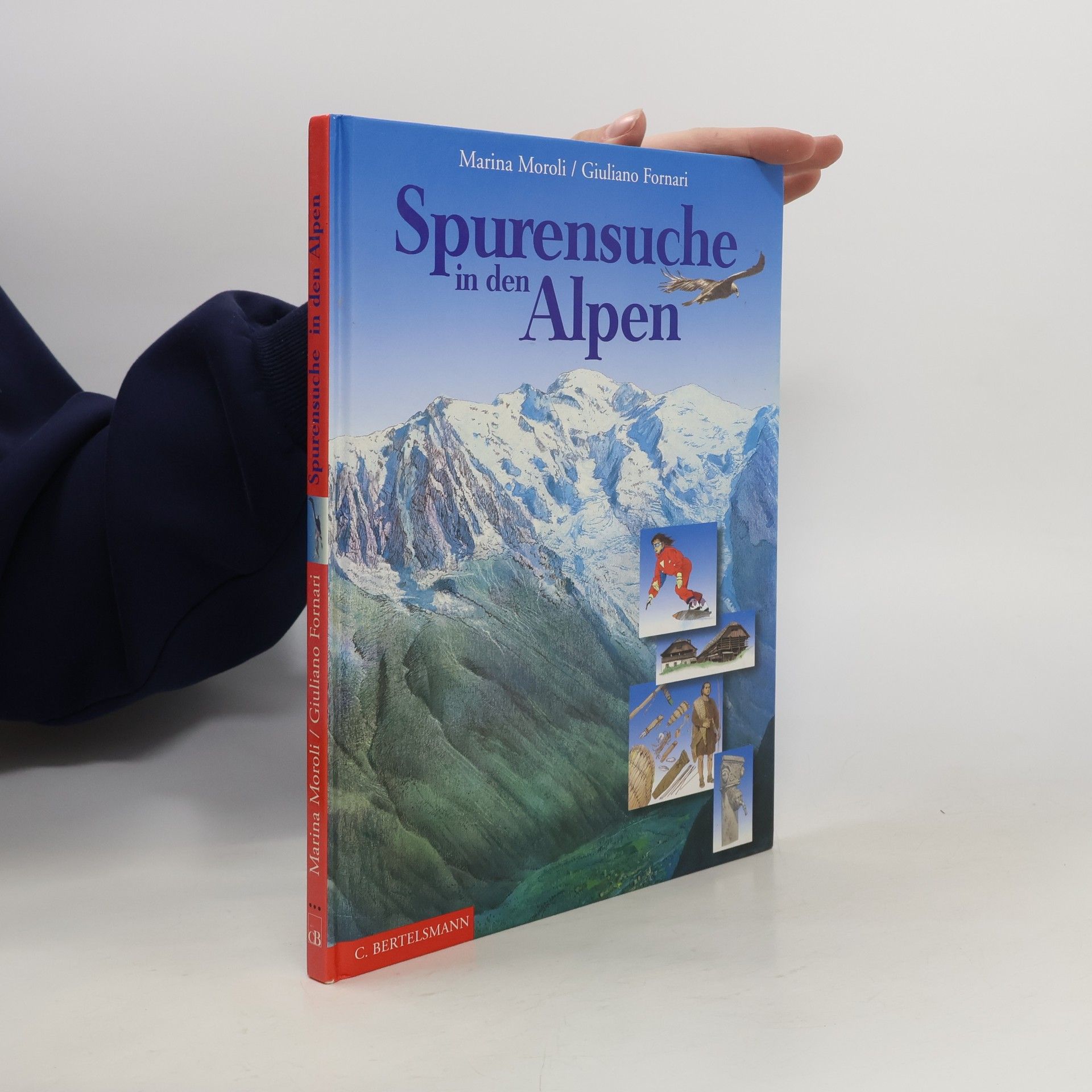Spurensuche in den Alpen