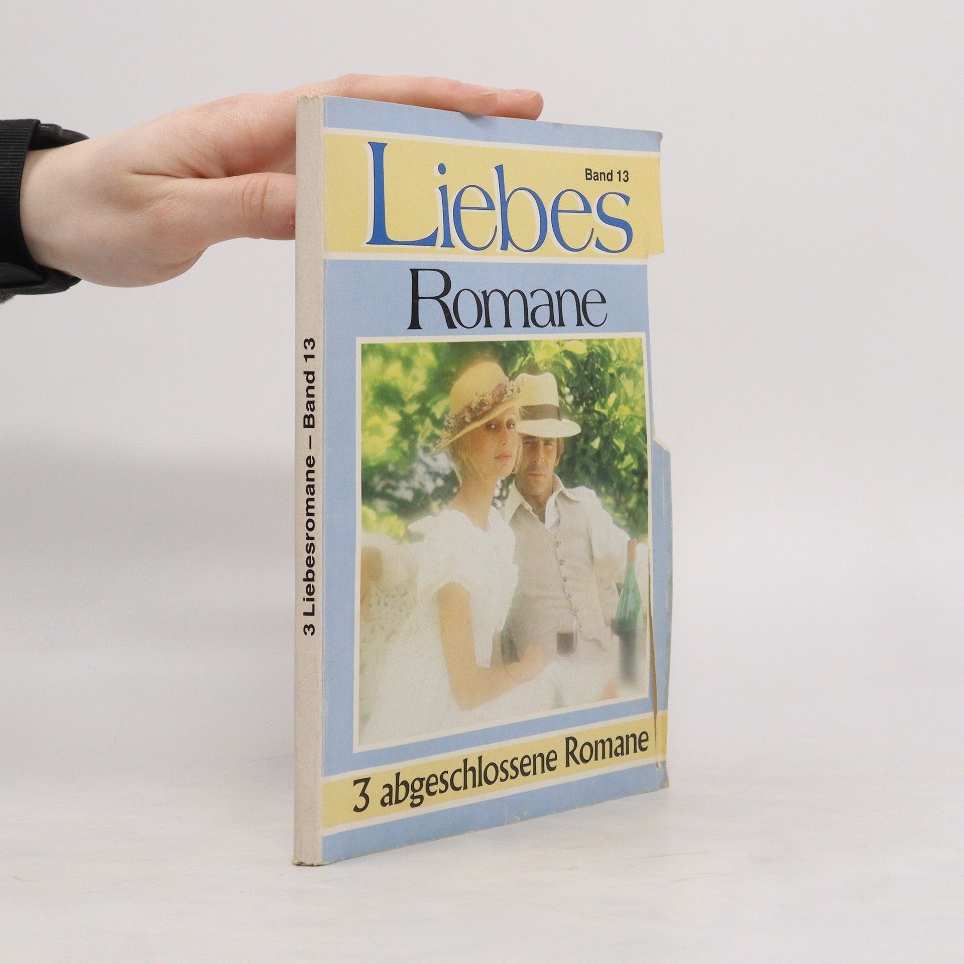 Autorenkollektiv Liebesromane. Band 13