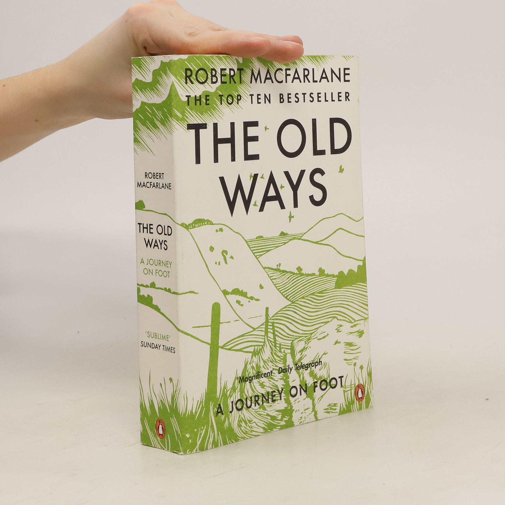 Robert Macfarlane The old ways : a journey on foot