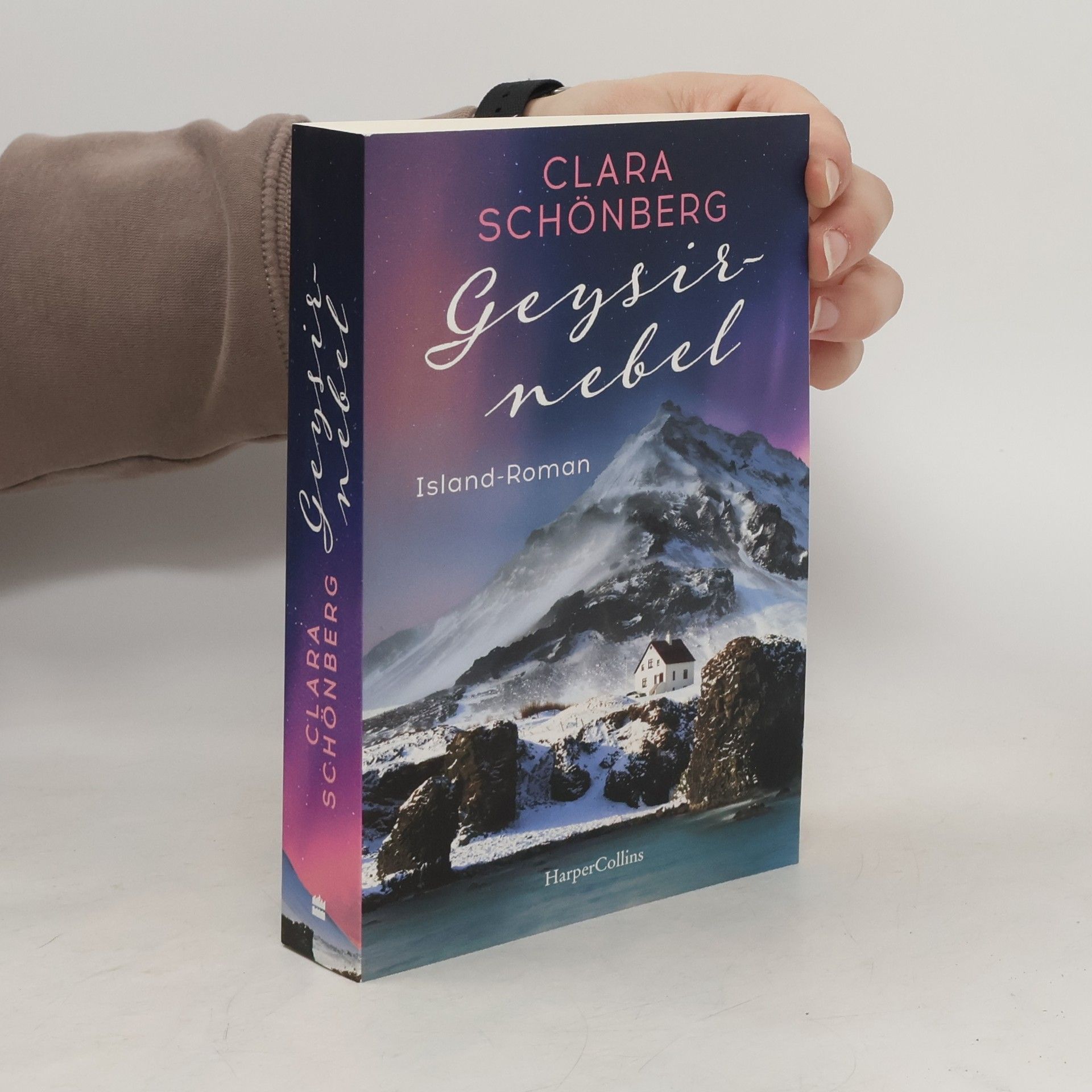 Clara Schönberg Geysirnebel
