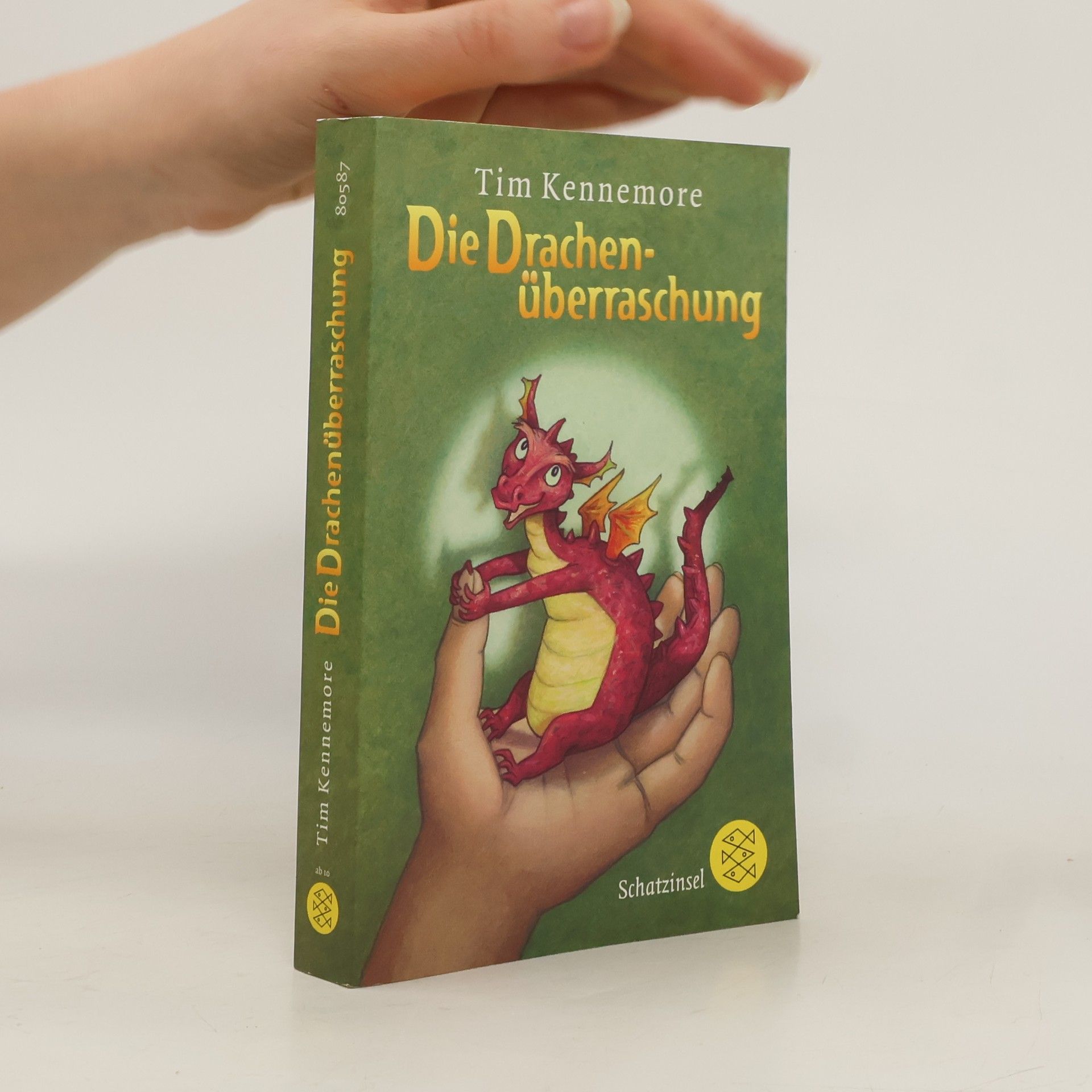 Tim Kennemore Die Drachenüberraschung