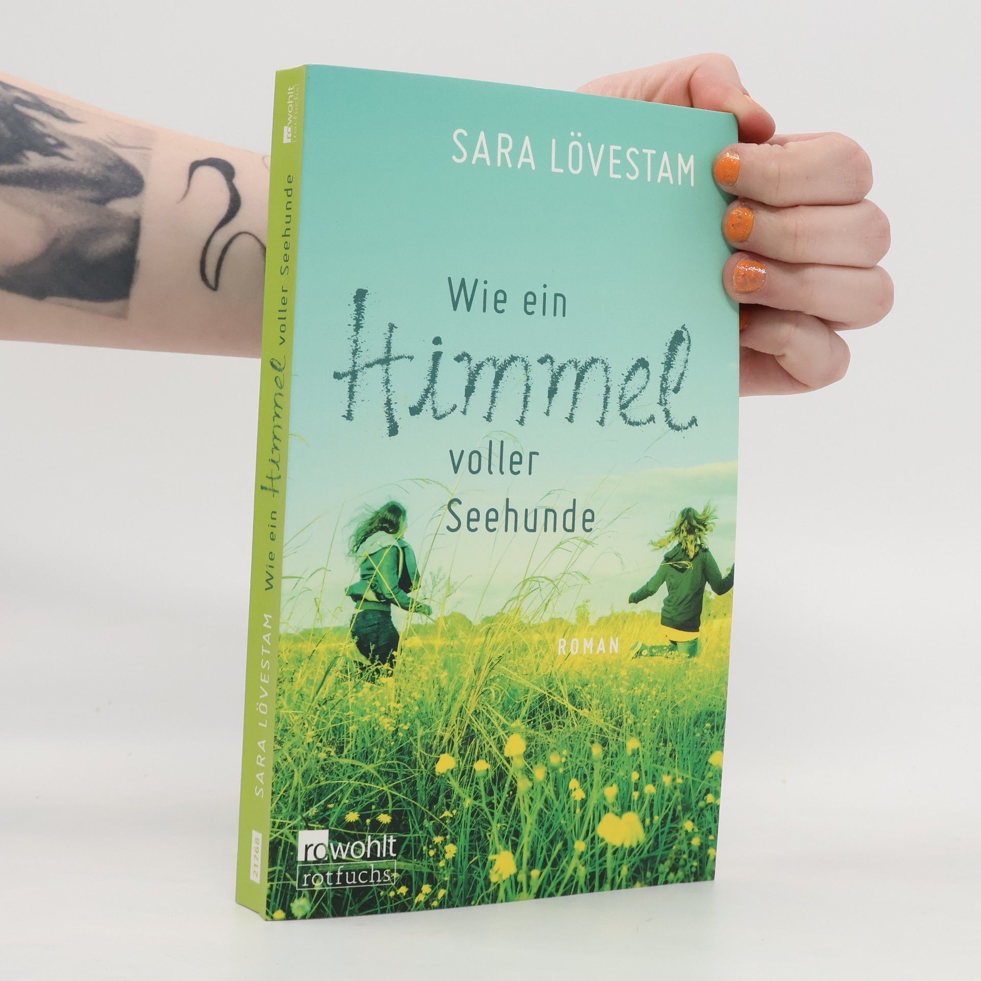 Sara Lövestam Wie ein Himmel voller Seehunde