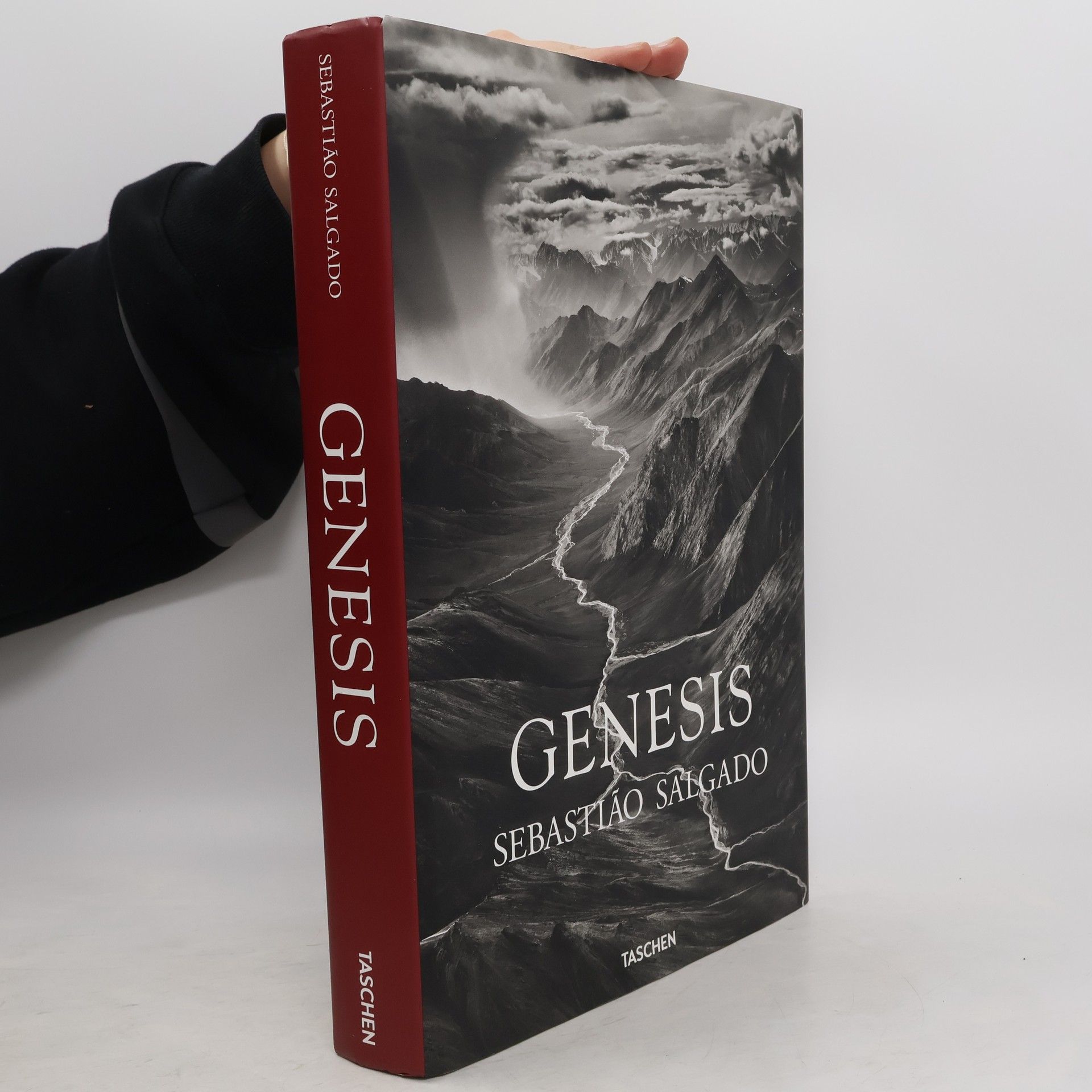 Sebastiao Salgado Genesis