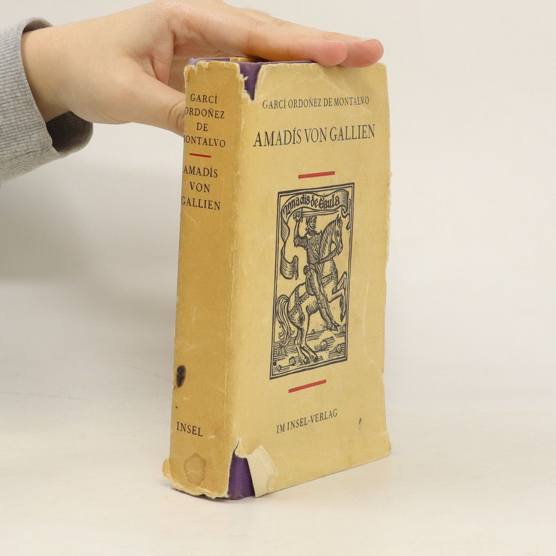 Garci Rodríguez de Montalvo Amadís von Gallien