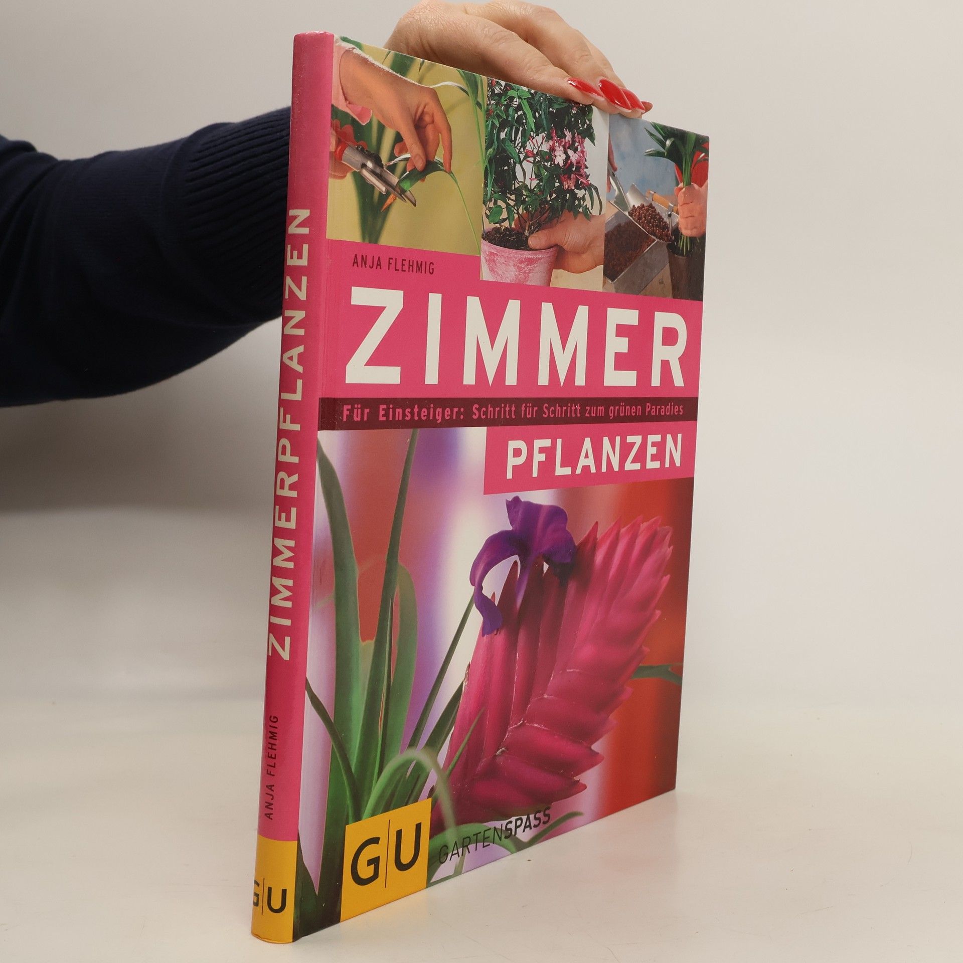 Anja Flehming Zimmerpflanzen