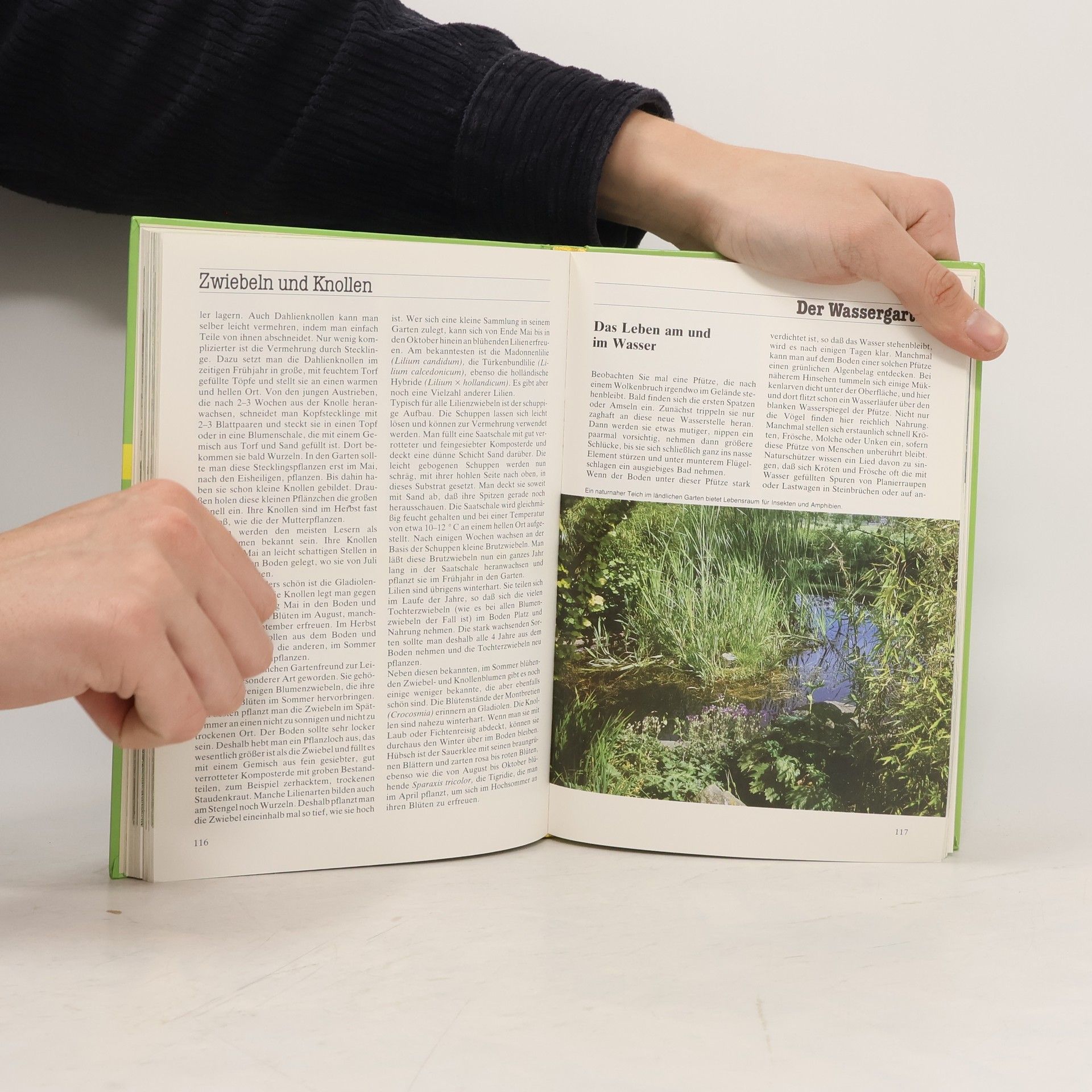Kolektiv autorů Gartenanlage Schritt für Schritt