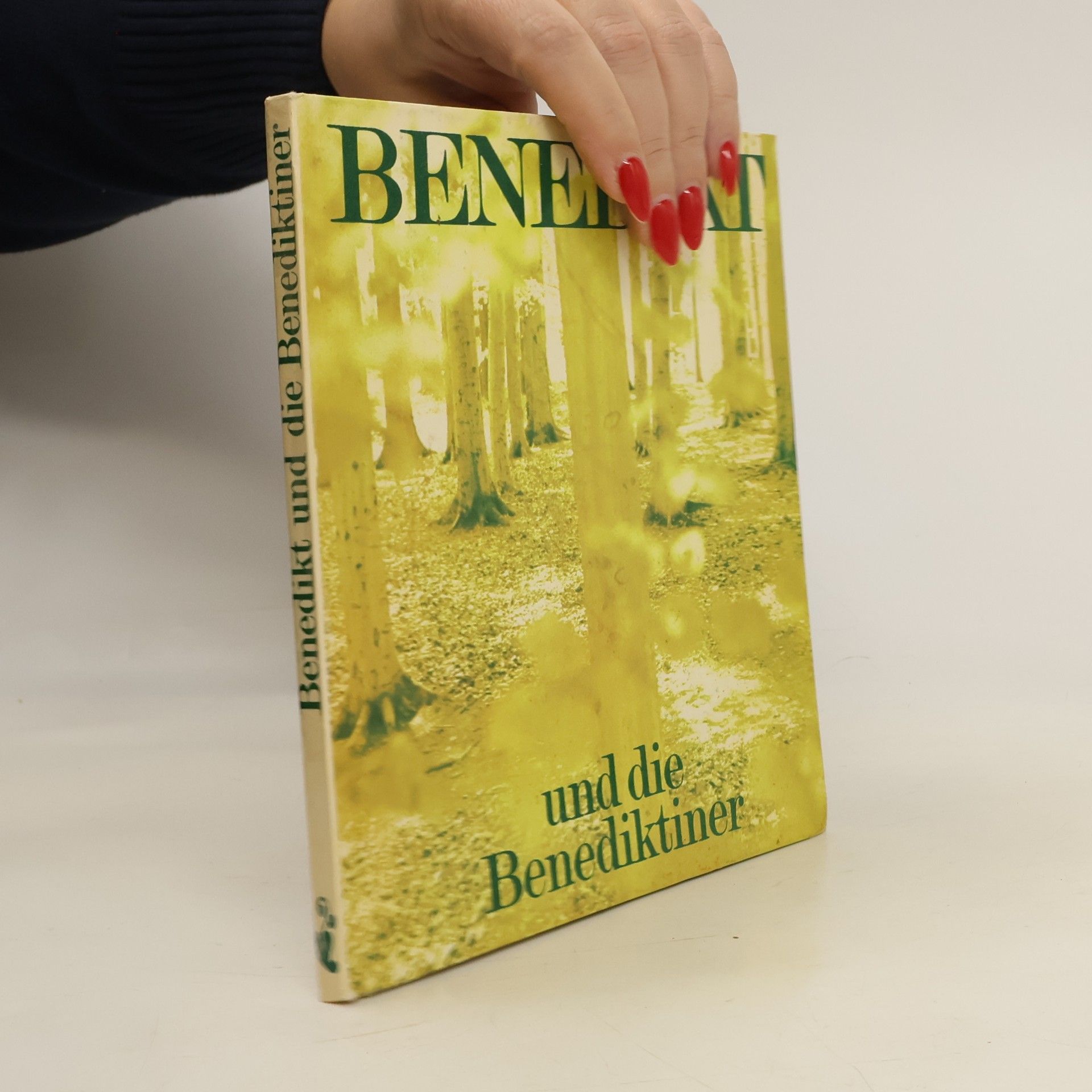 AA.VV. Benedikt und die Benediktiner