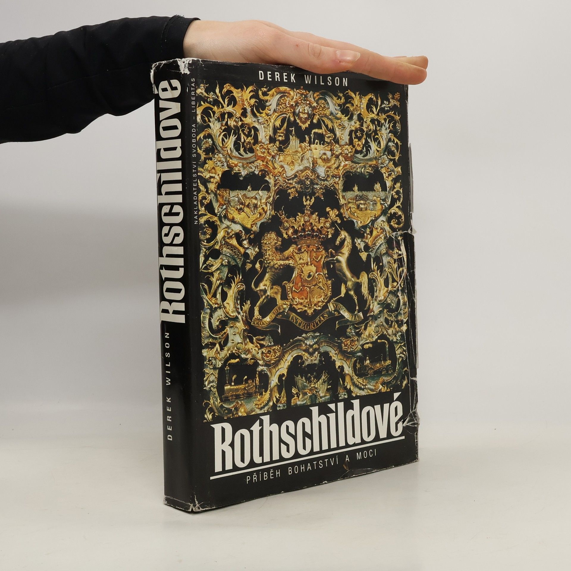 Derek A. Wilson Rothschildové. Příběh bohatství a moci