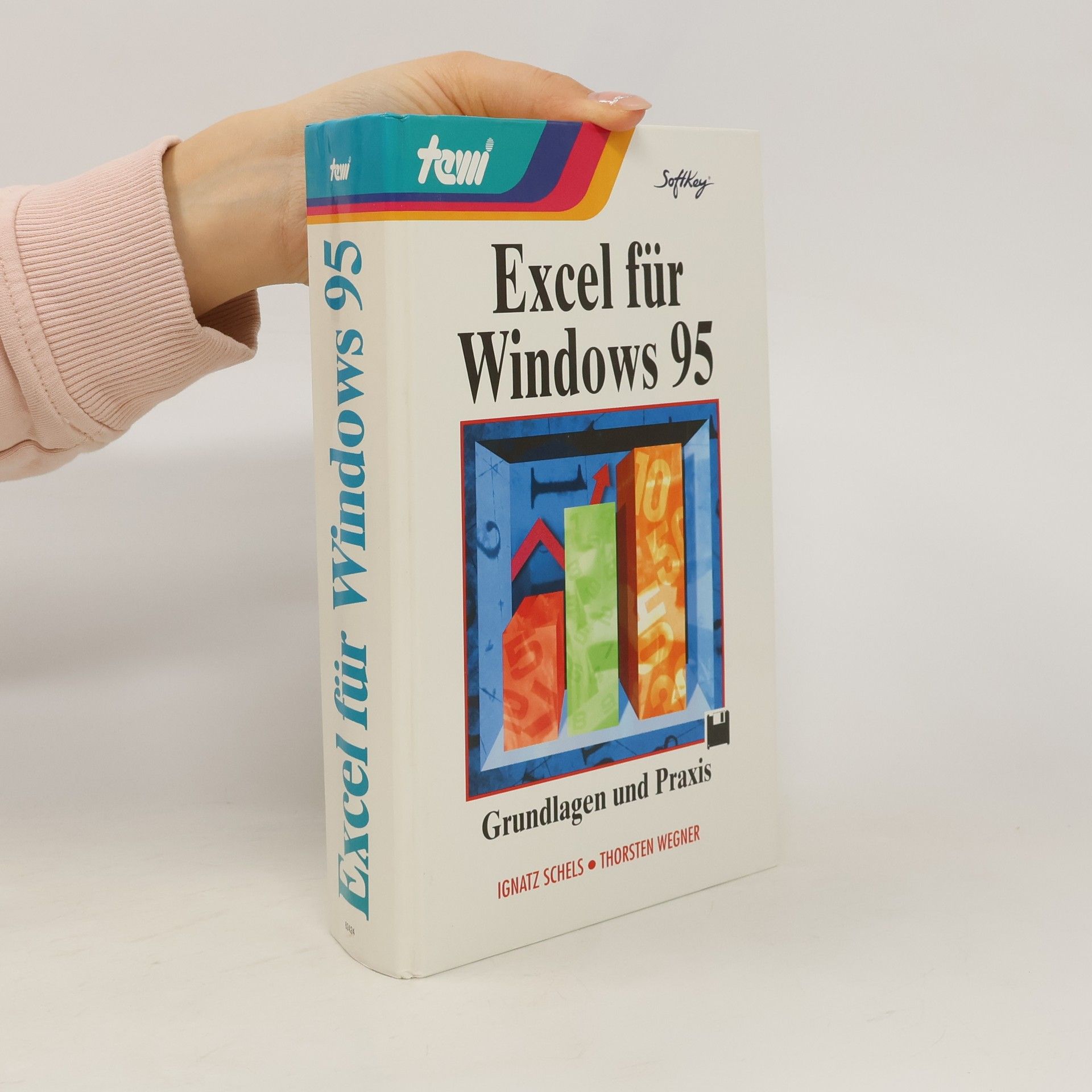 Collectif d'auteurs Excel für Windows 95
