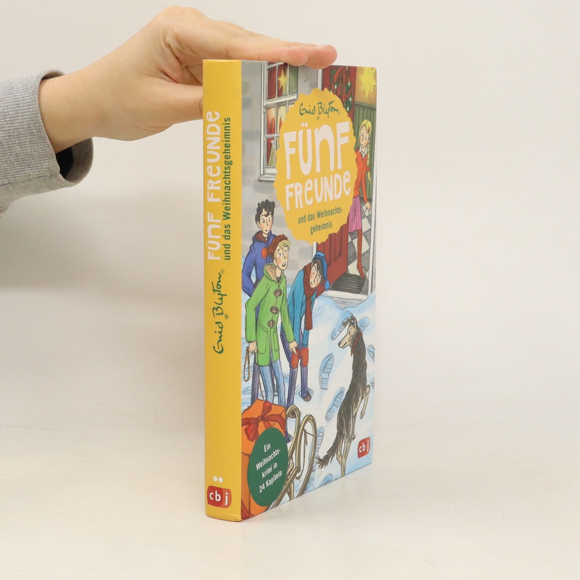 Enid Blyton Fünf Freunde und das Weihnachtsgeheimnis