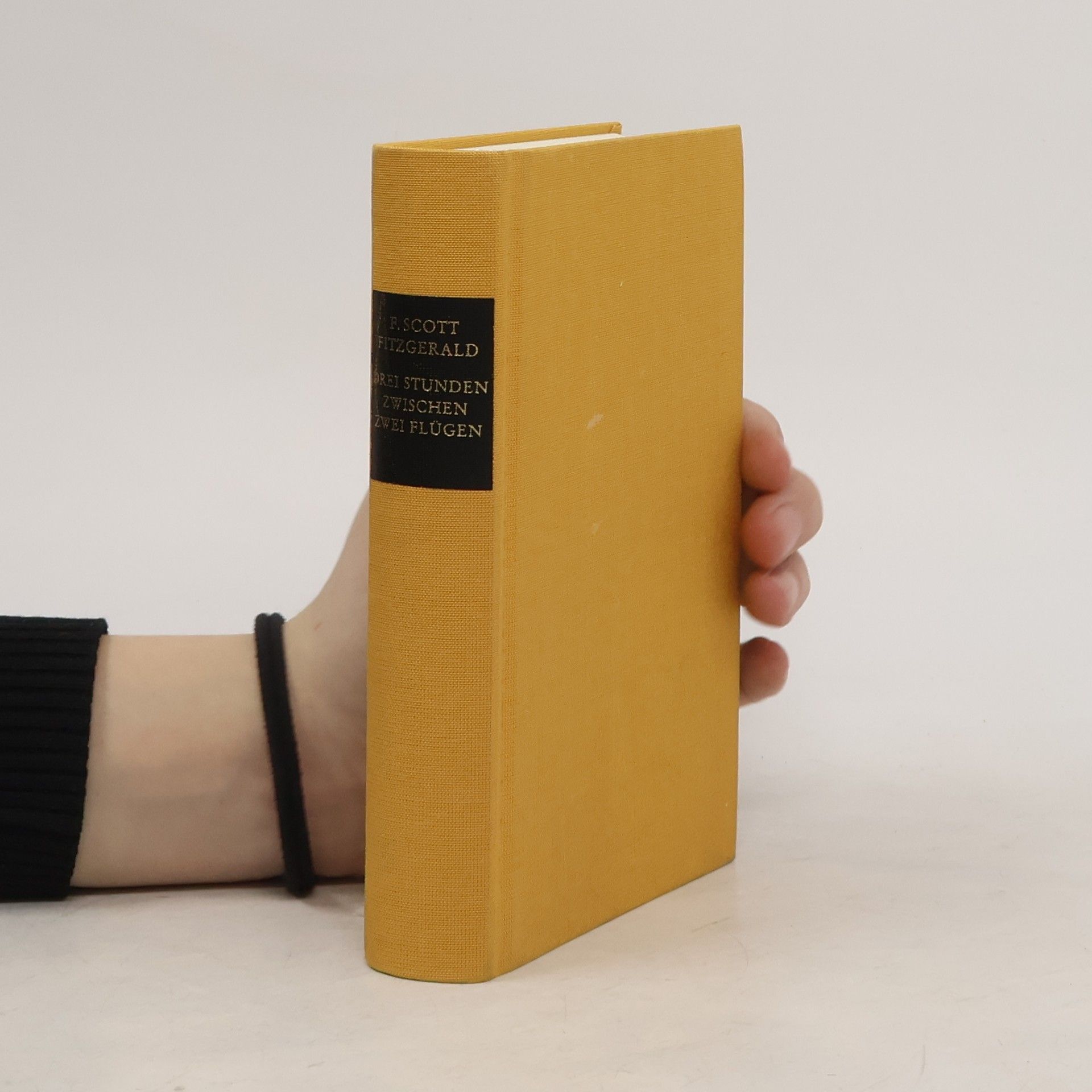 F. Scott Fitzgerald Drei Stunden zwischen zwei Flügen und andere Meistererzählungen