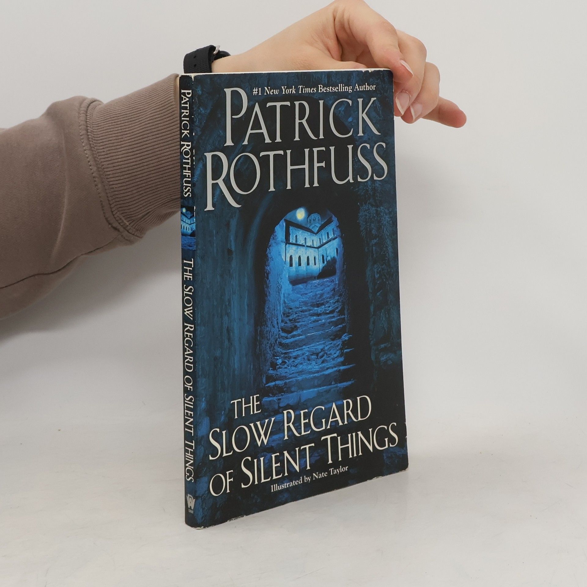 Patrick Rothfuss The Slow Regard of Silent Things