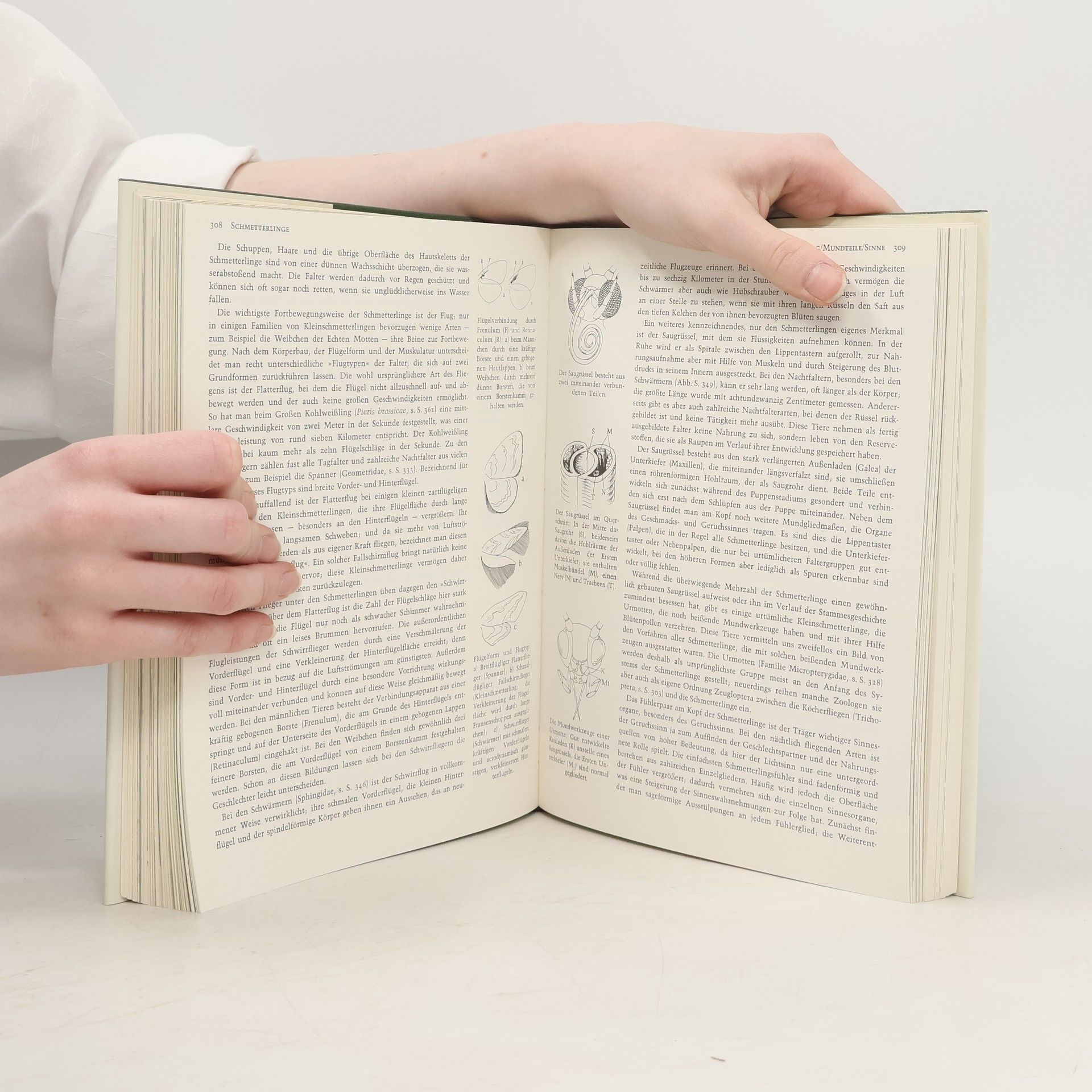Franz Bachmaier Grzimeks Tierleben 2. Insekten