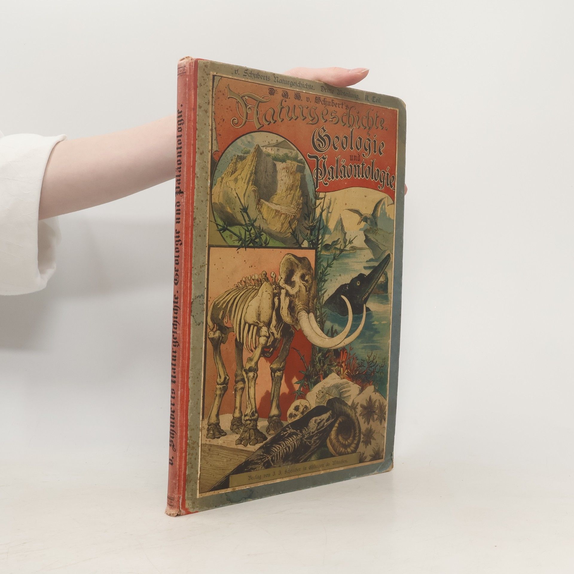 F. Rolle Naturgeschichte Geologie und Paläontologie