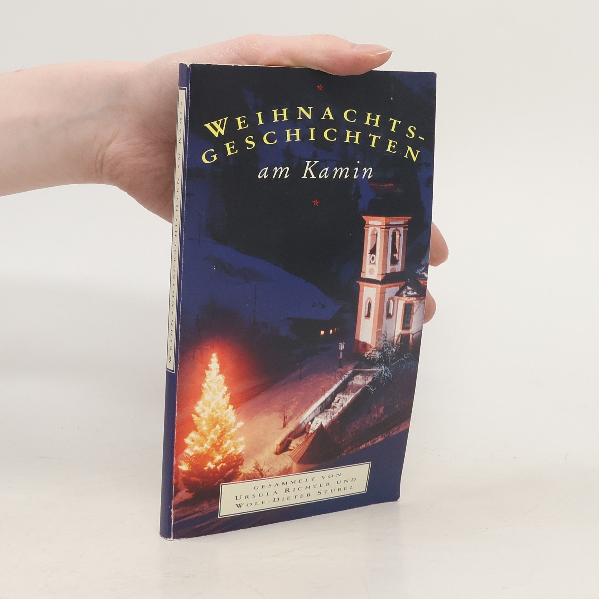 Auteurscollectief Weihnachtsgeschichten am Kamin