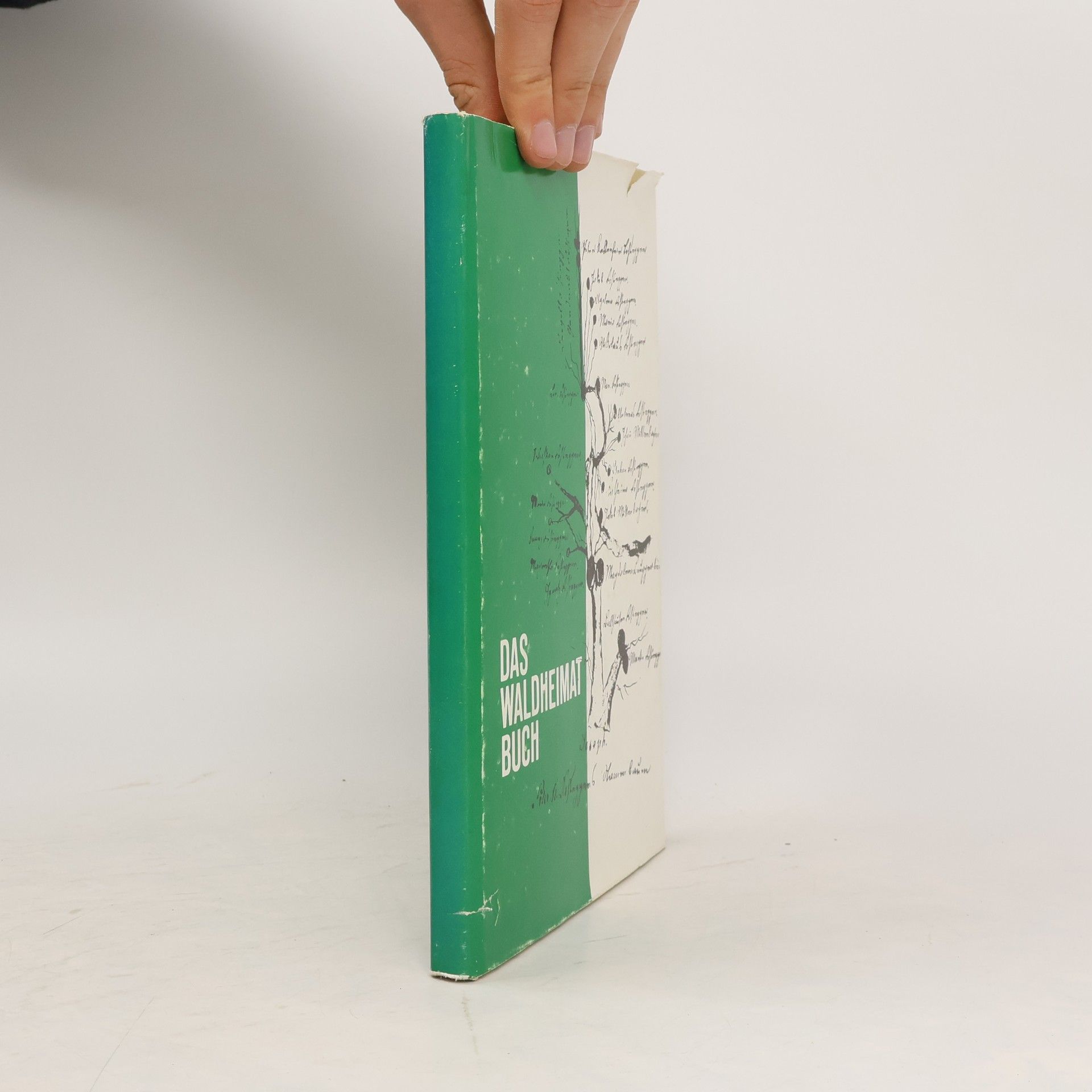 Autorenkollektiv Das Waldheimat Buch