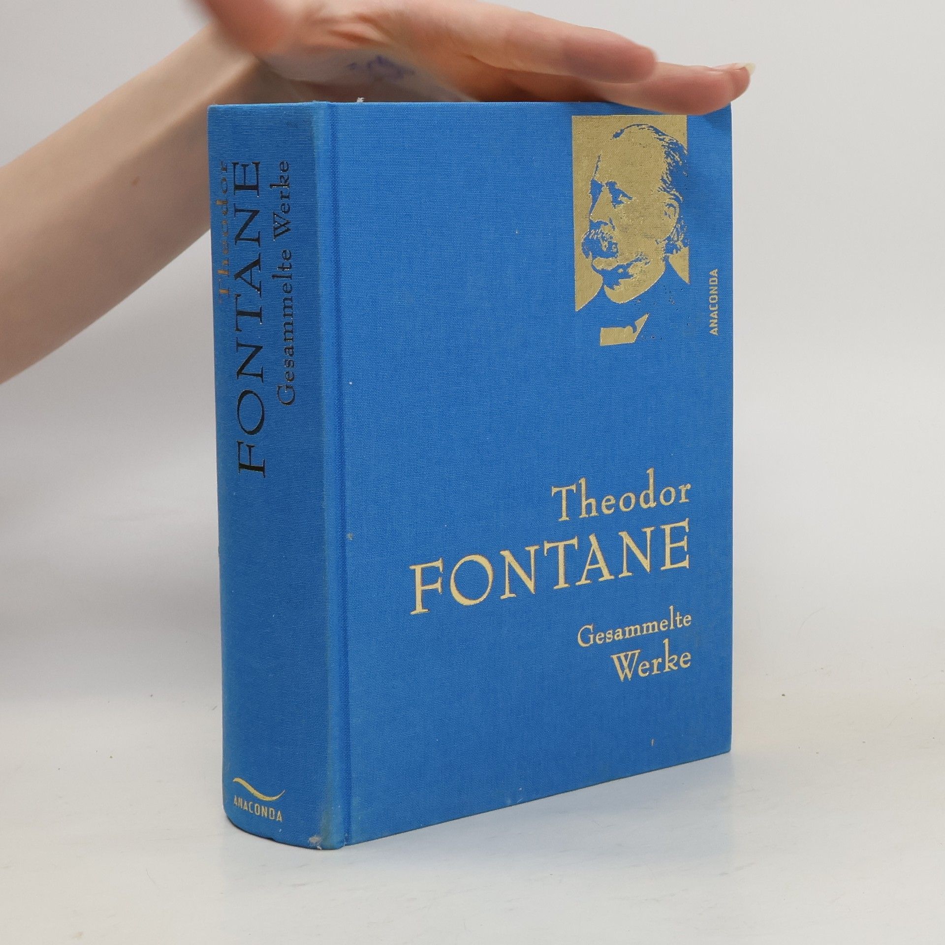 Theodor Fontane Gesammelte Werke