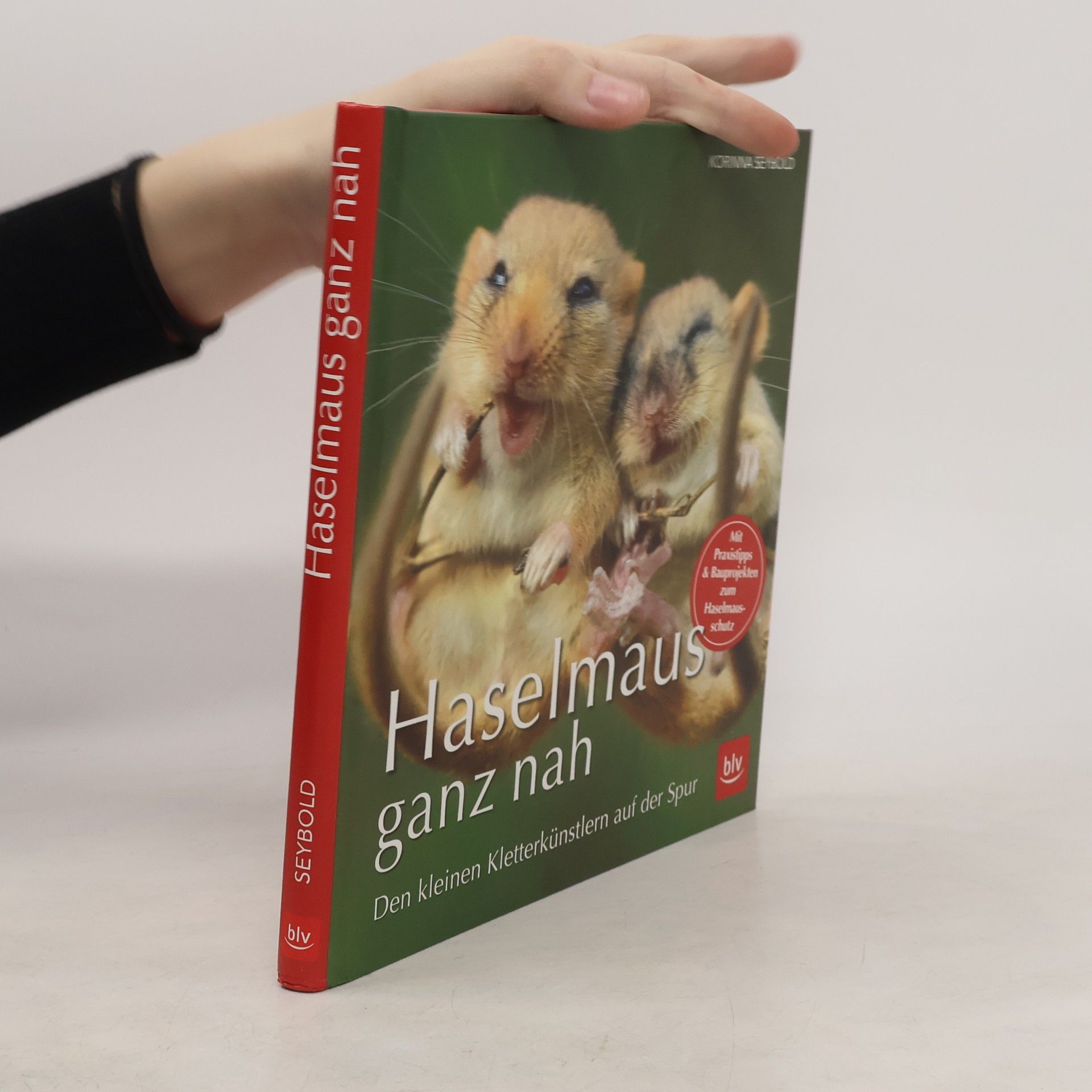 Korinna Seybold Haselmaus ganz nah