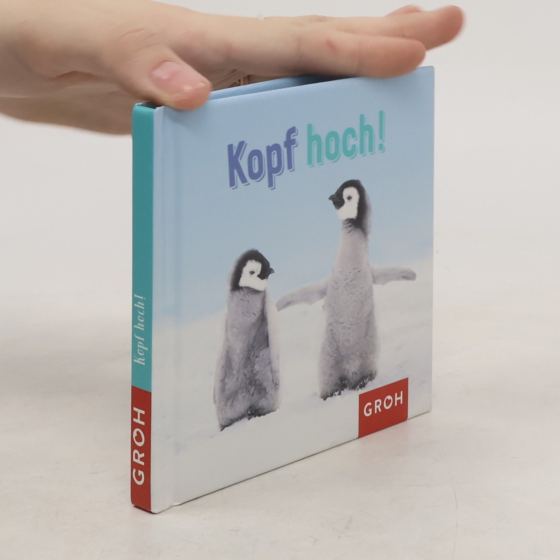 Joachim Groh Kopf hoch!