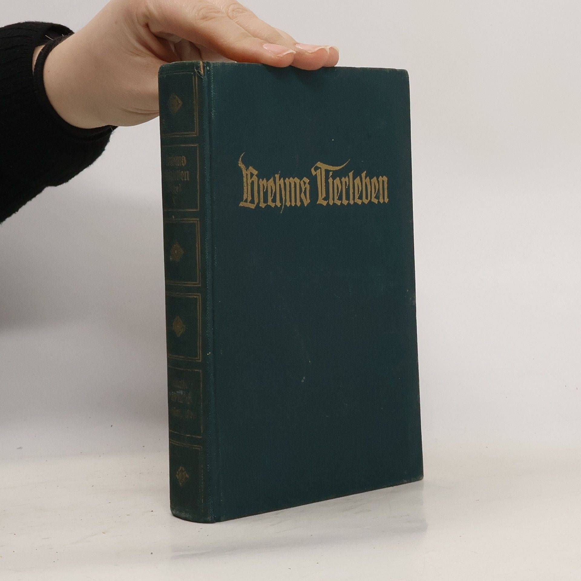Alfred Edmund Brehm Brehms Tierleben 19