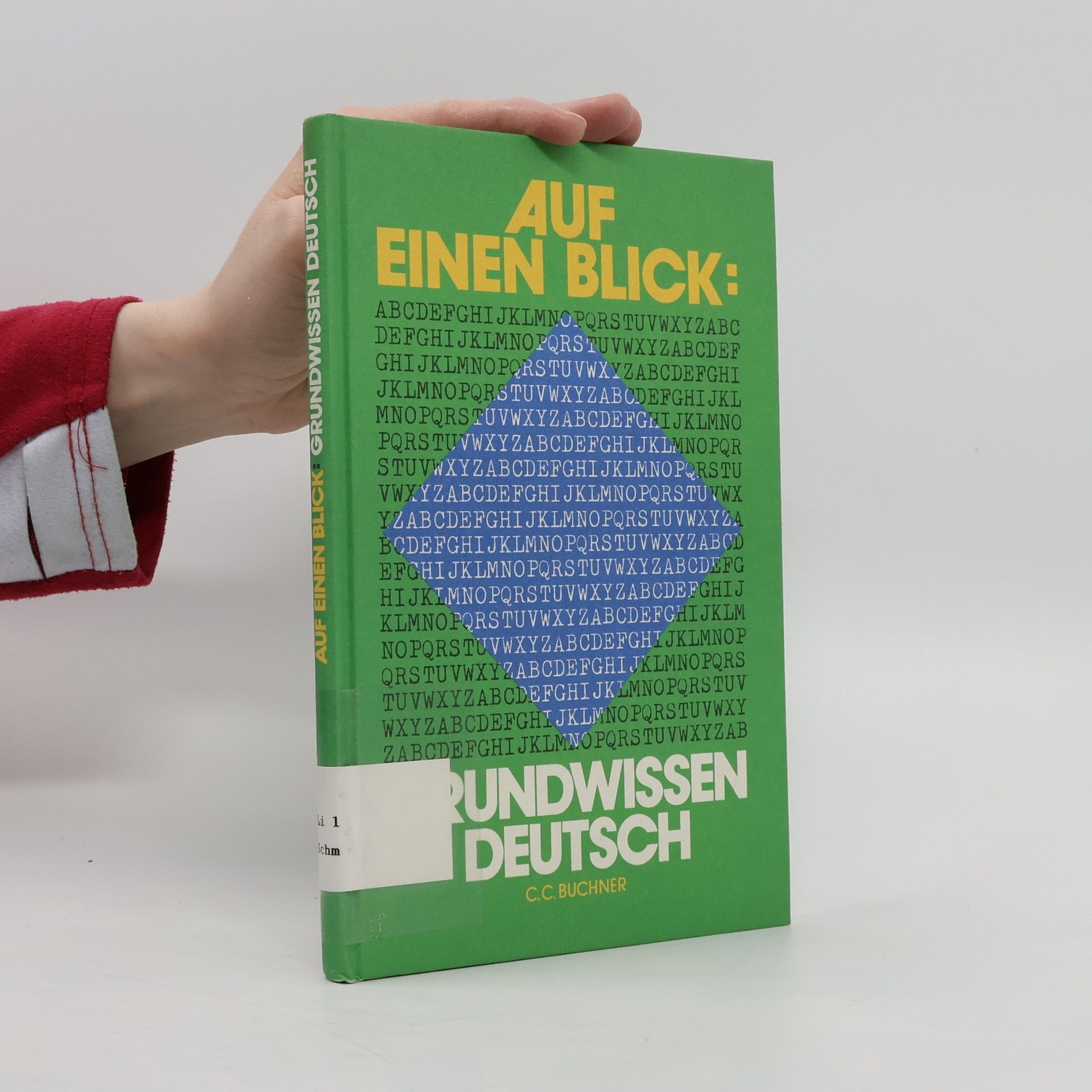 Rudolf Schmitt Auf einen Blick: Grundwissen Deutsch