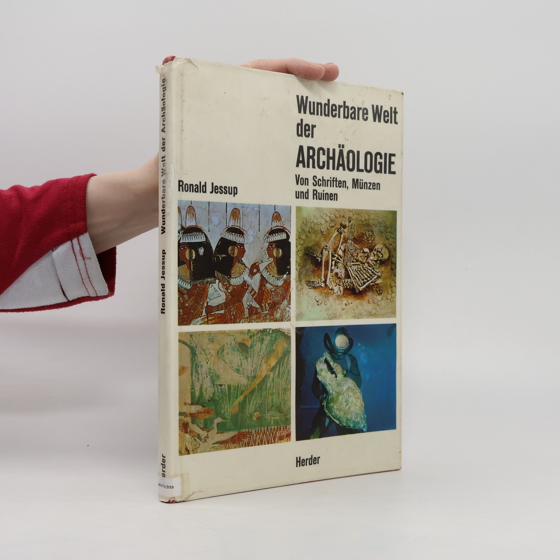 Ronald Jessup Die wunderbare Welt der Archäologie