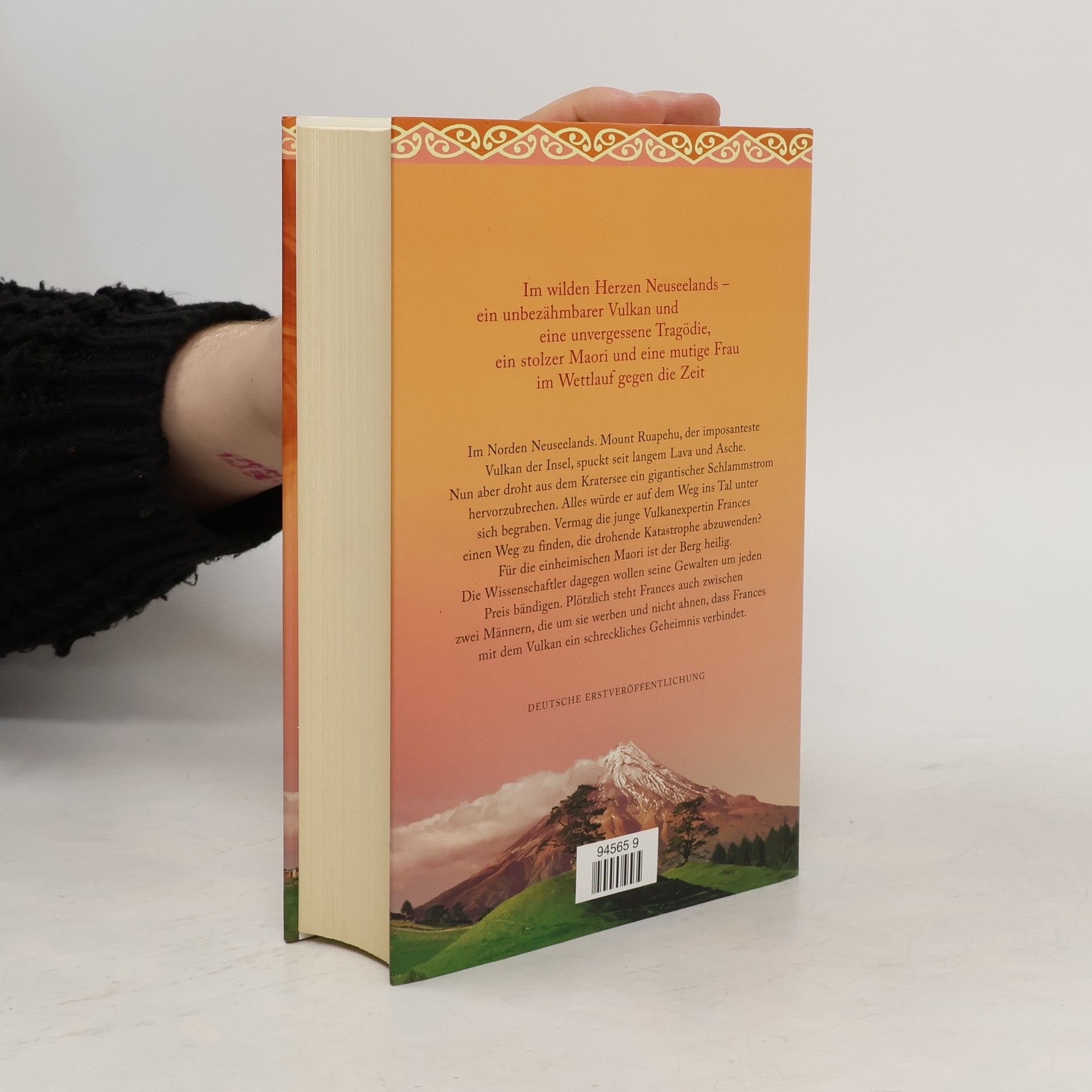 Anne Maria Nicholson Die Insel der Feuerberge