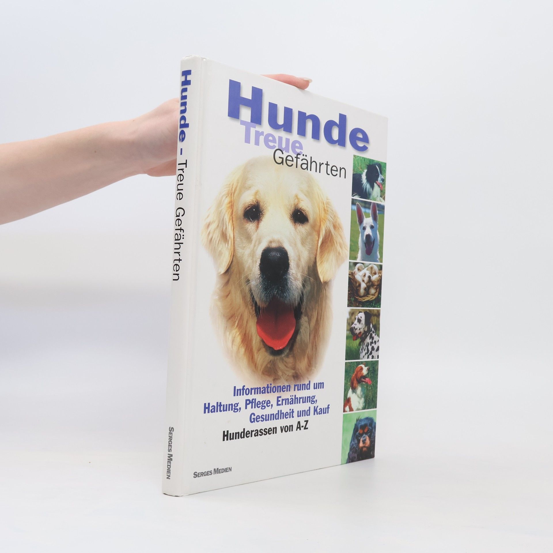 Autorenkollektiv Hunde Treue Gefährten