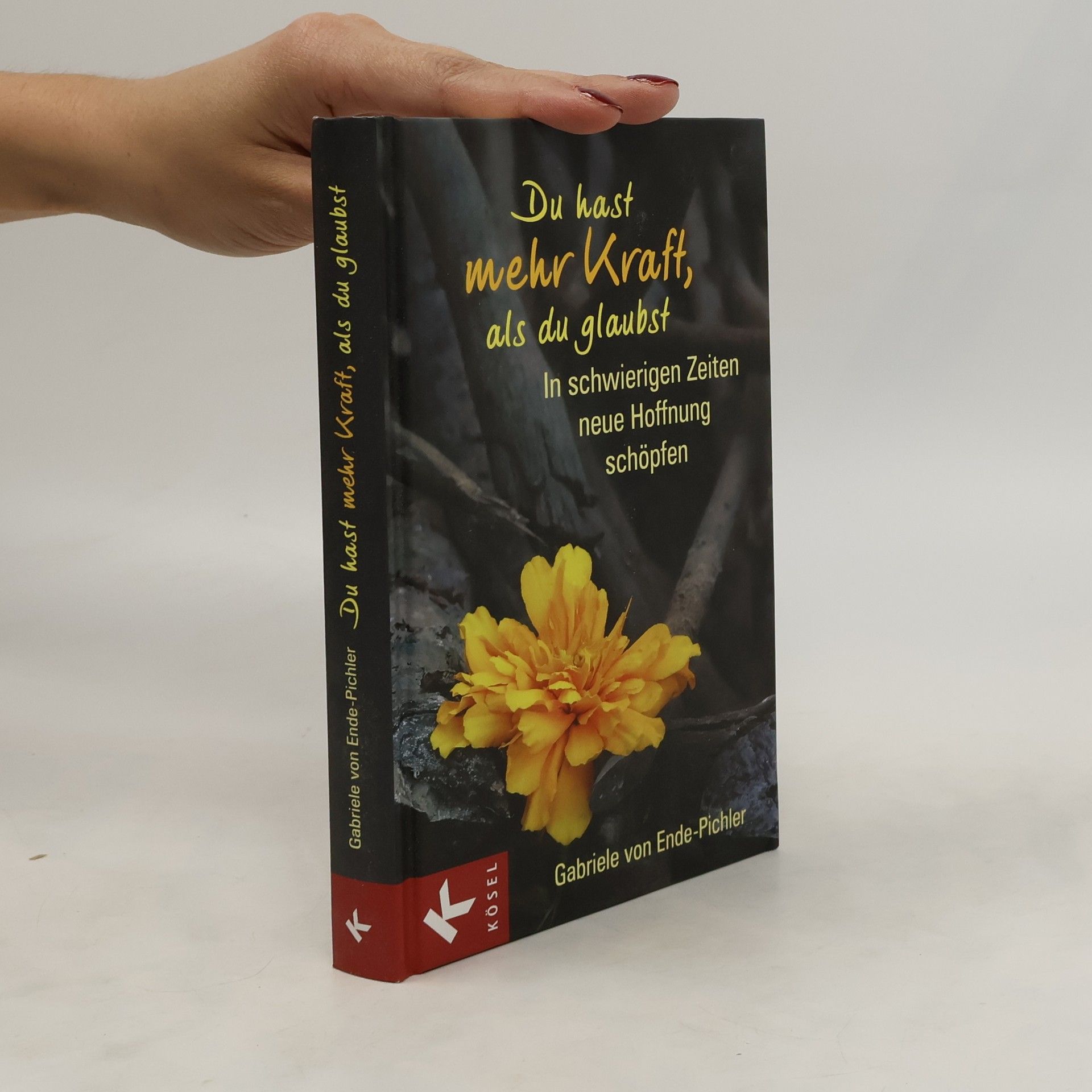 Gabriele von Ende Pichler Du hast mehr Kraft, als du glaubst