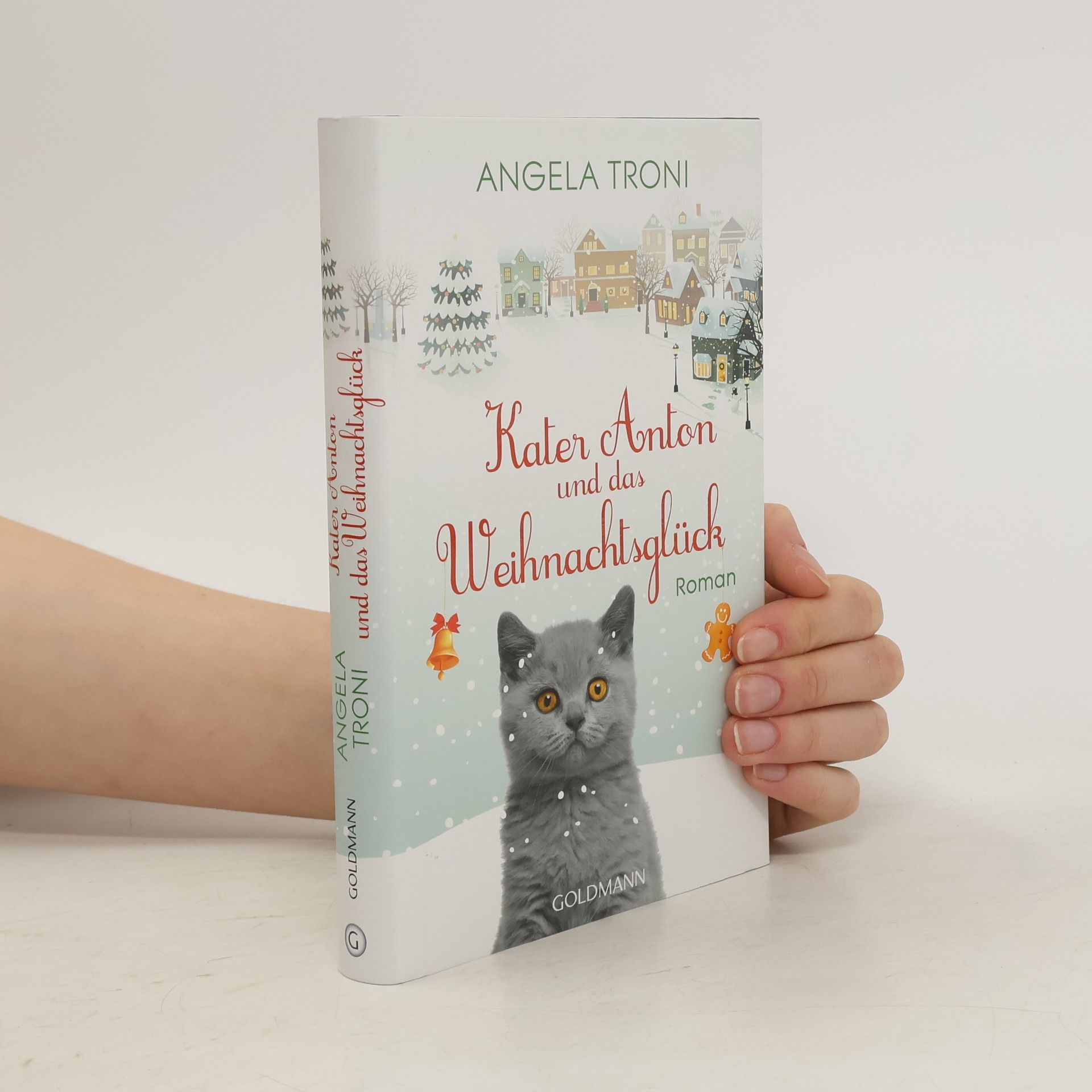 Angela Troni Kater Anton und das Weihnachtsglück