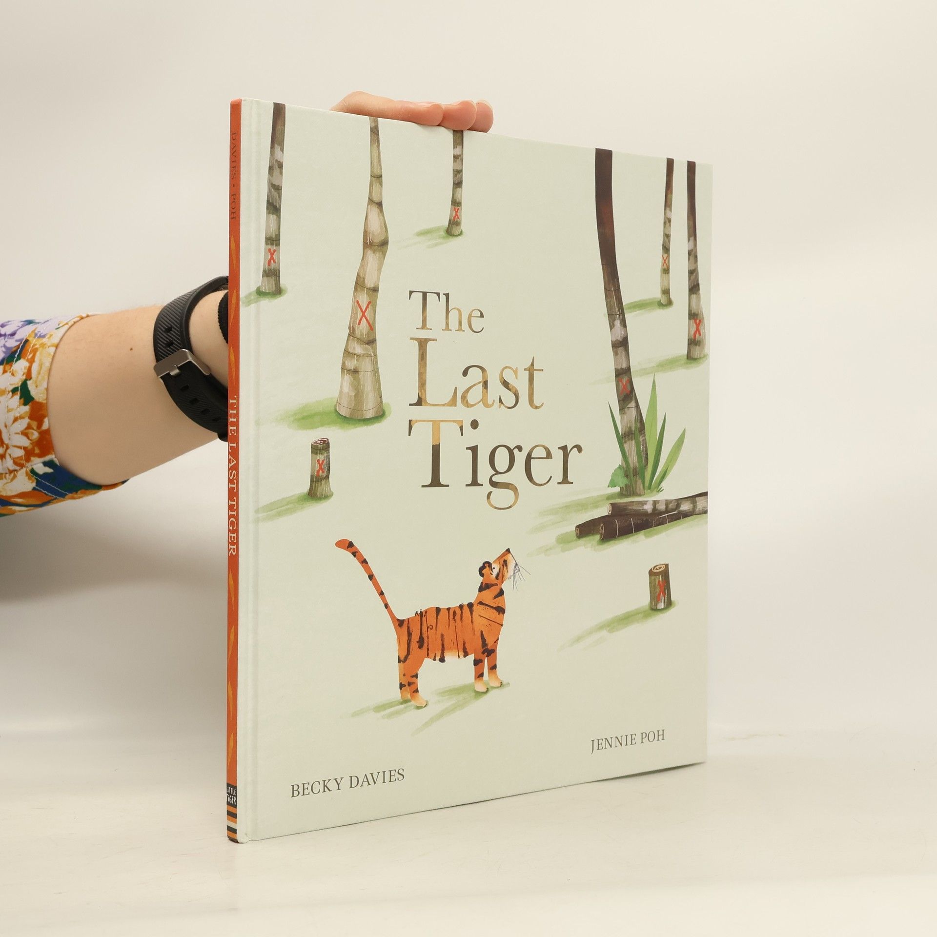 Becky Davies The Last Tiger