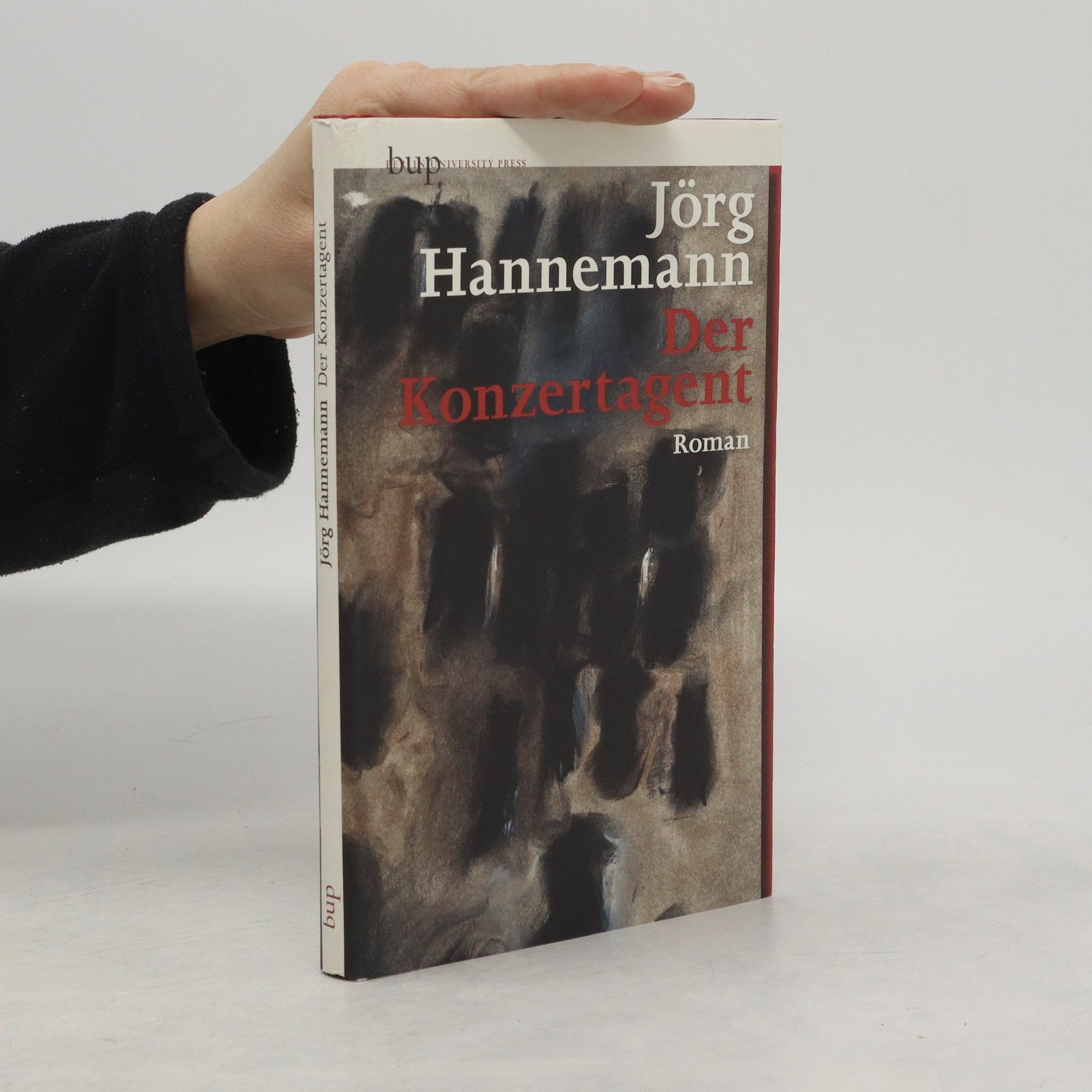 Jörg Hannemann Der Konzertagent
