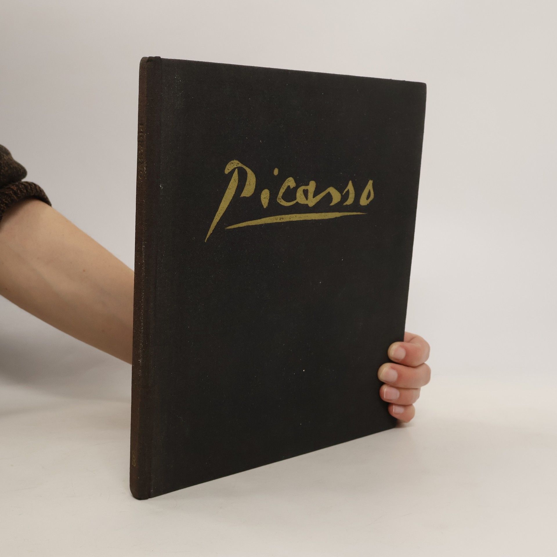 kolektiv Picasso