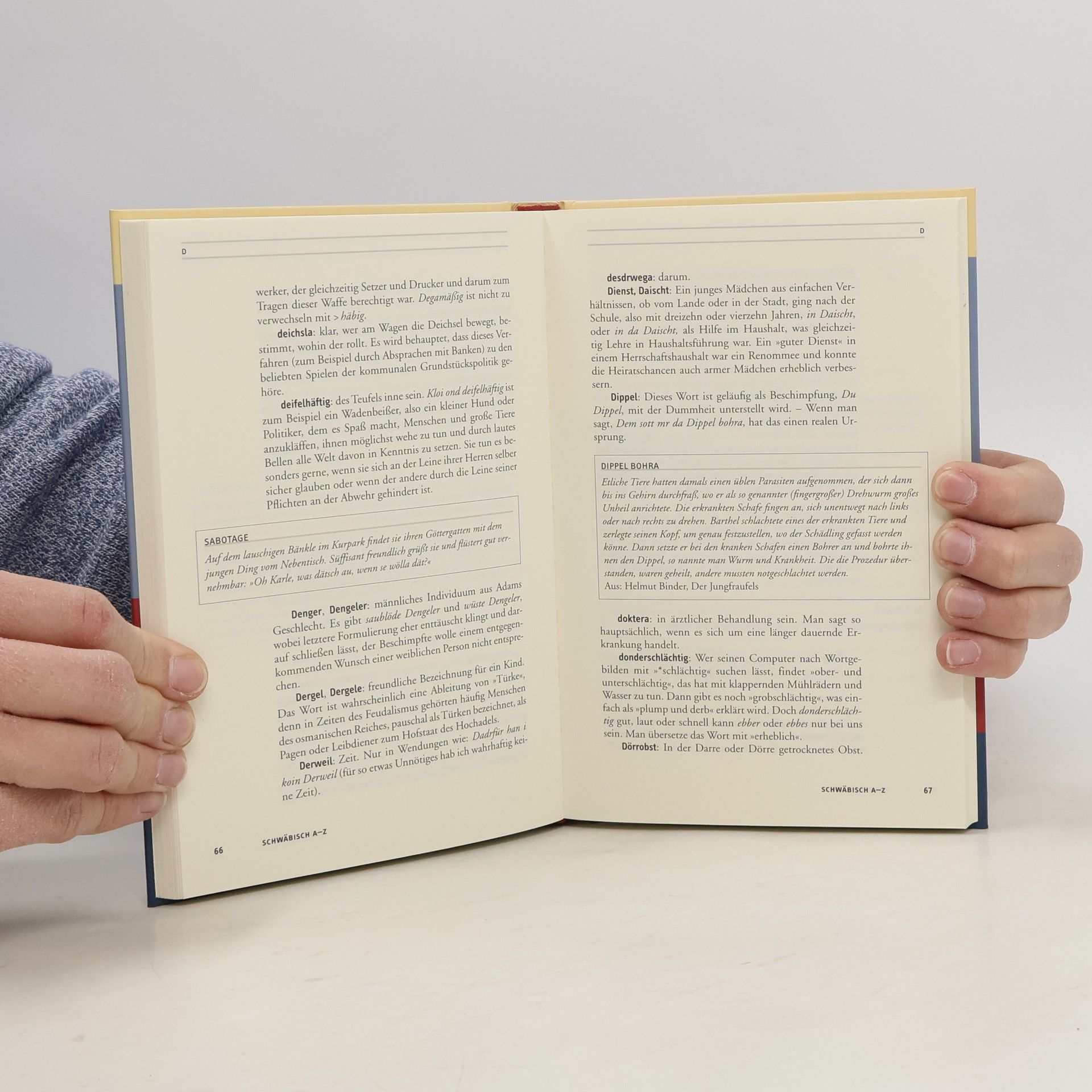 Helmut Binder Ein schwäbisches Wörterbuch