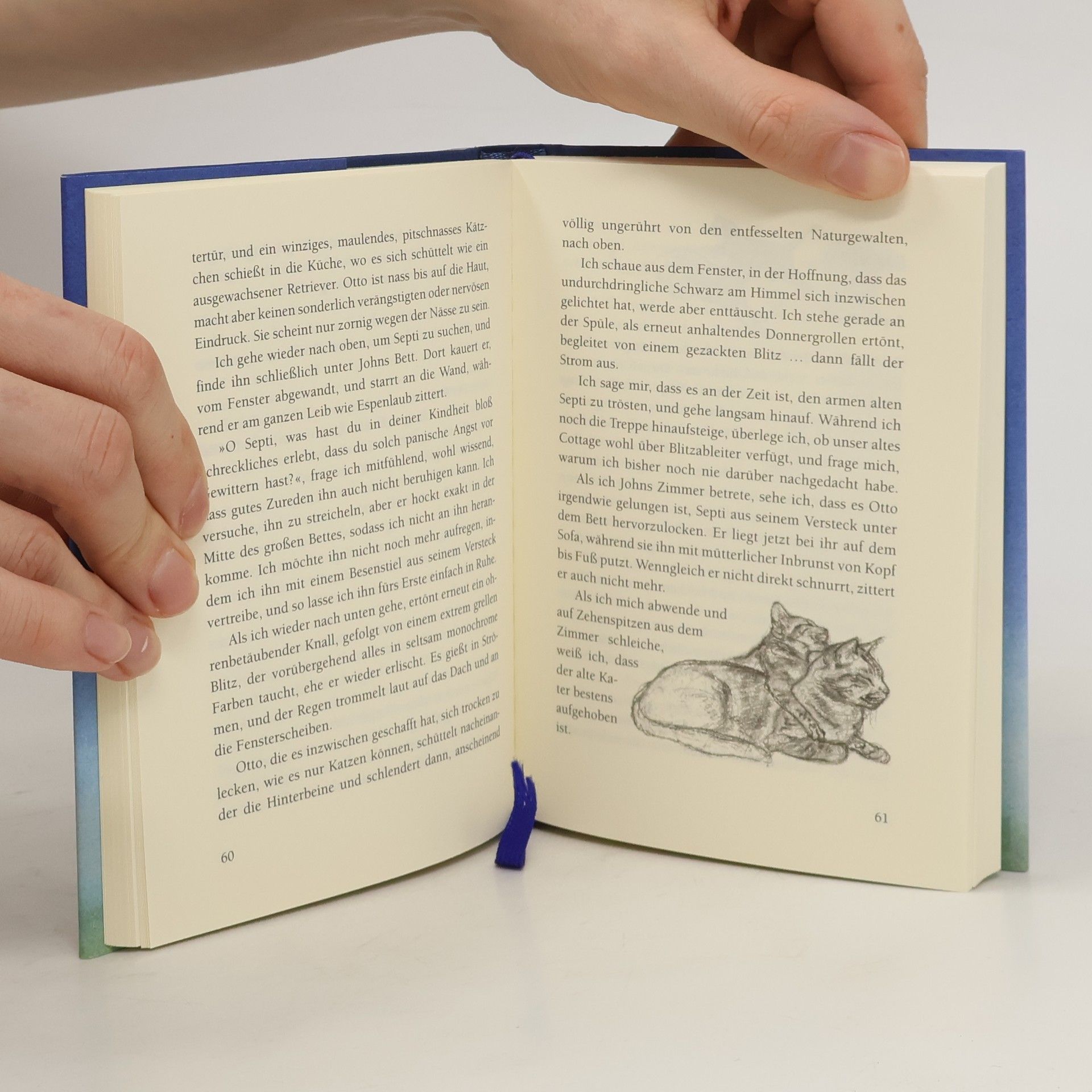 Marilyn Edwards Die Katzen von Moon Cottage