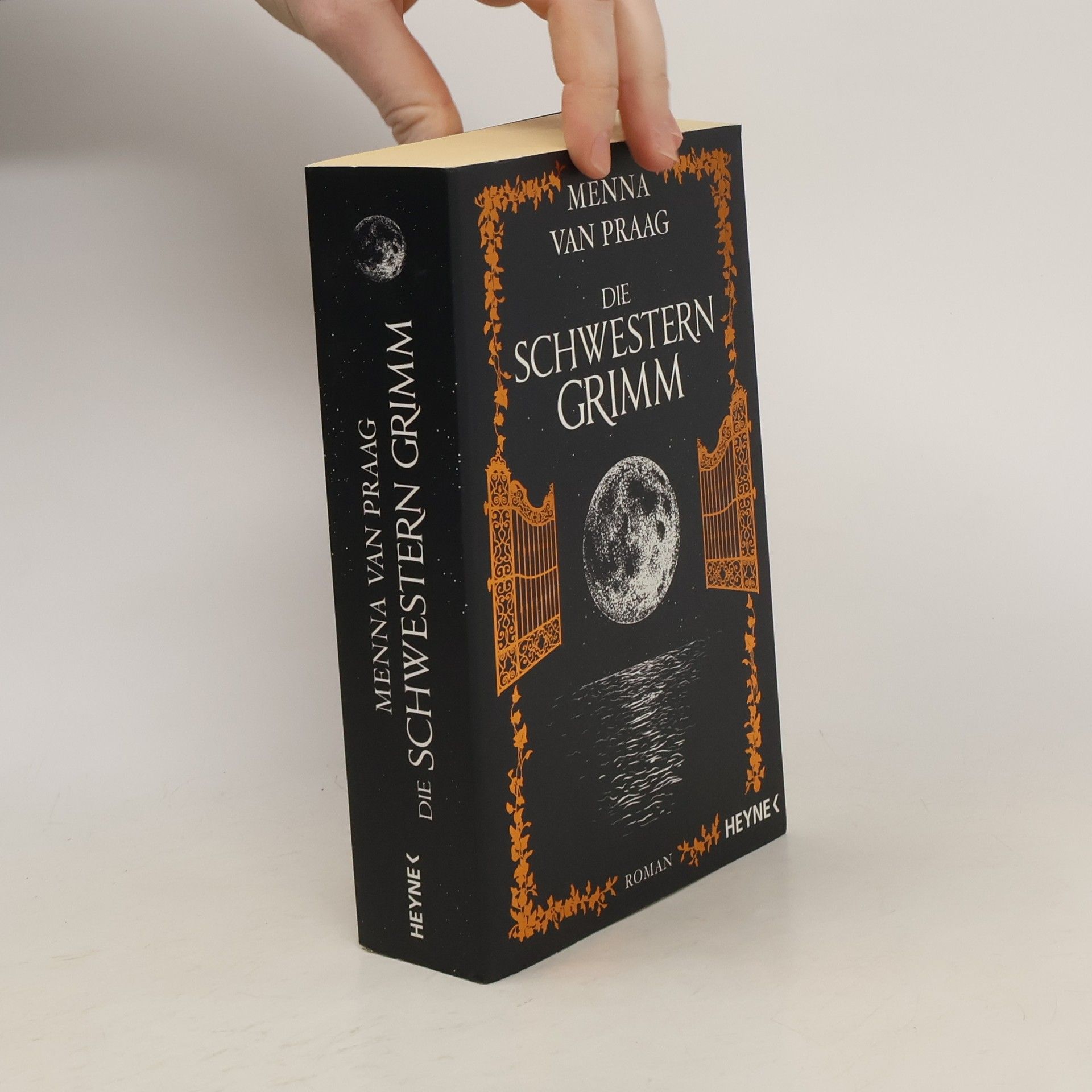 Menna van Praag Die Schwestern Grimm