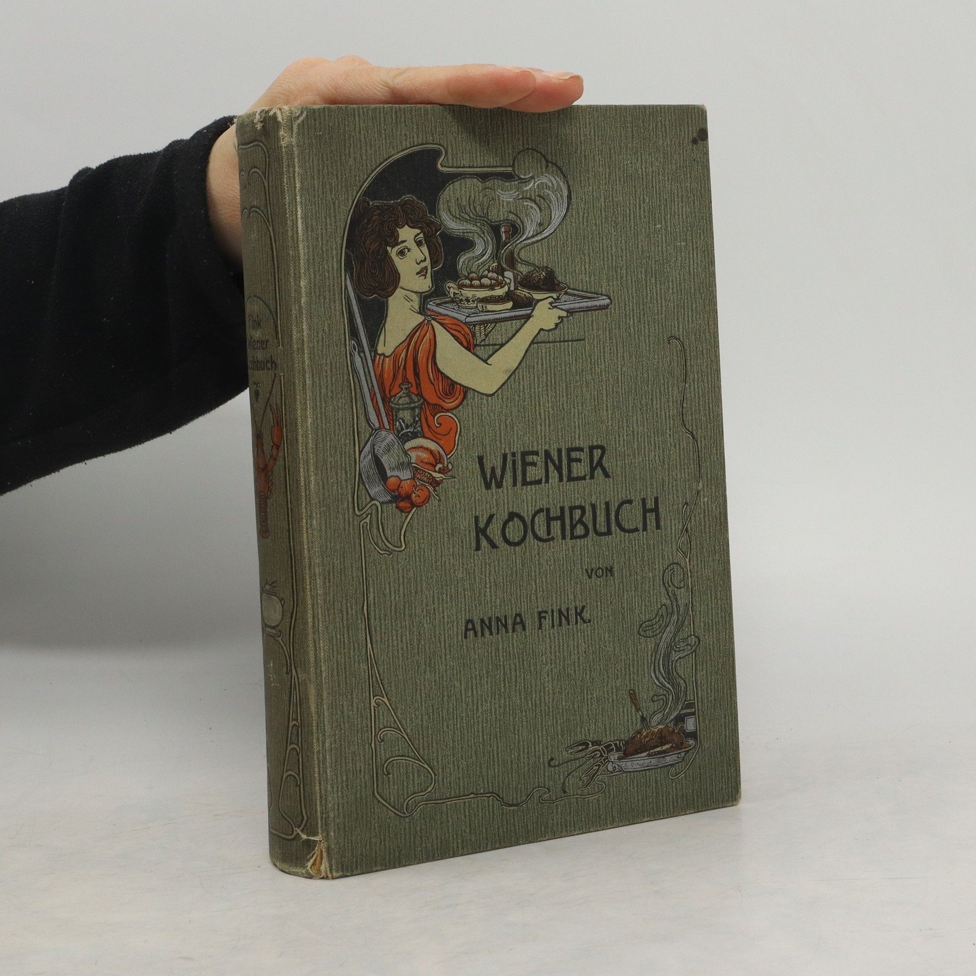 Anna Fink Wiener Kochbuch