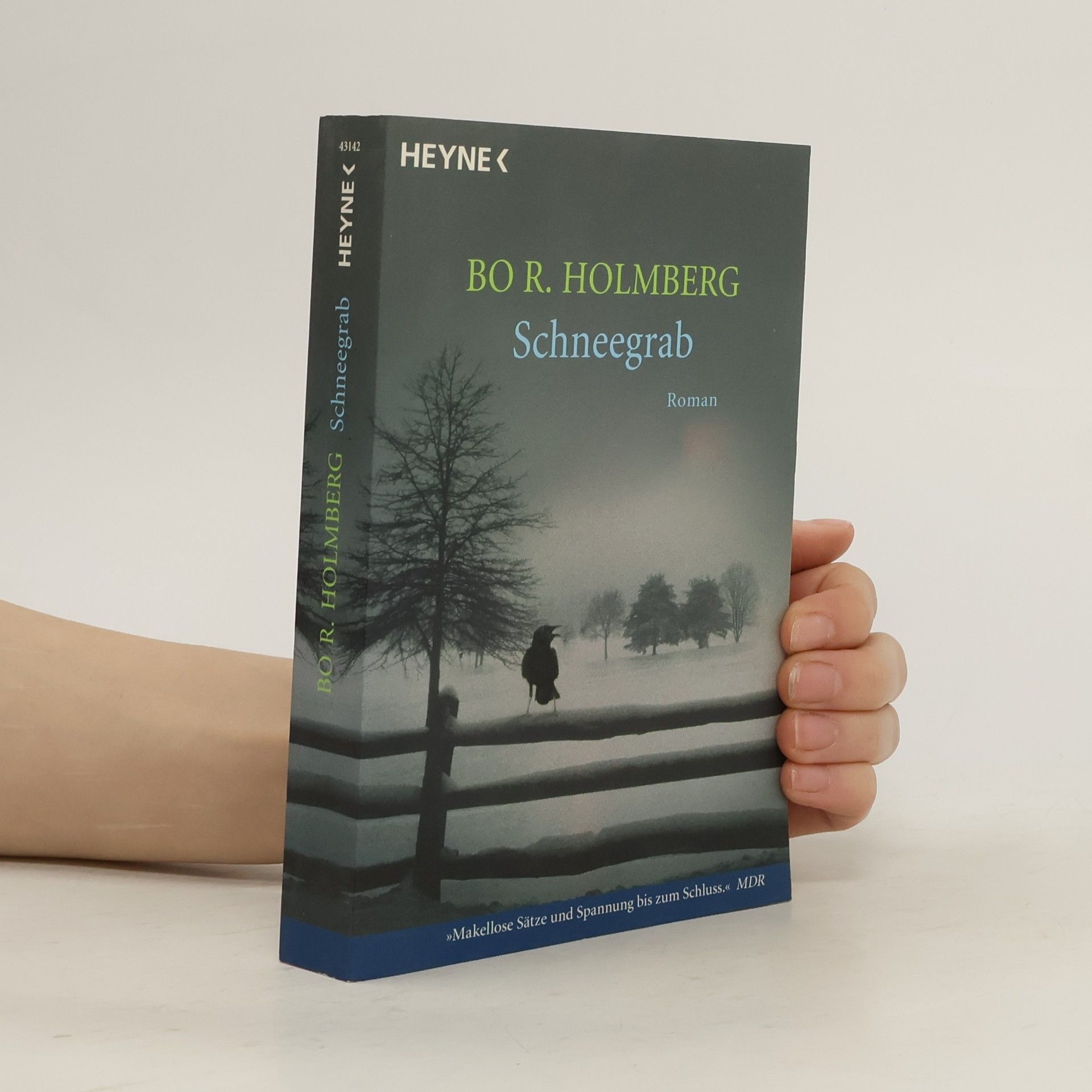 Bo R. Holmberg Schneegrab