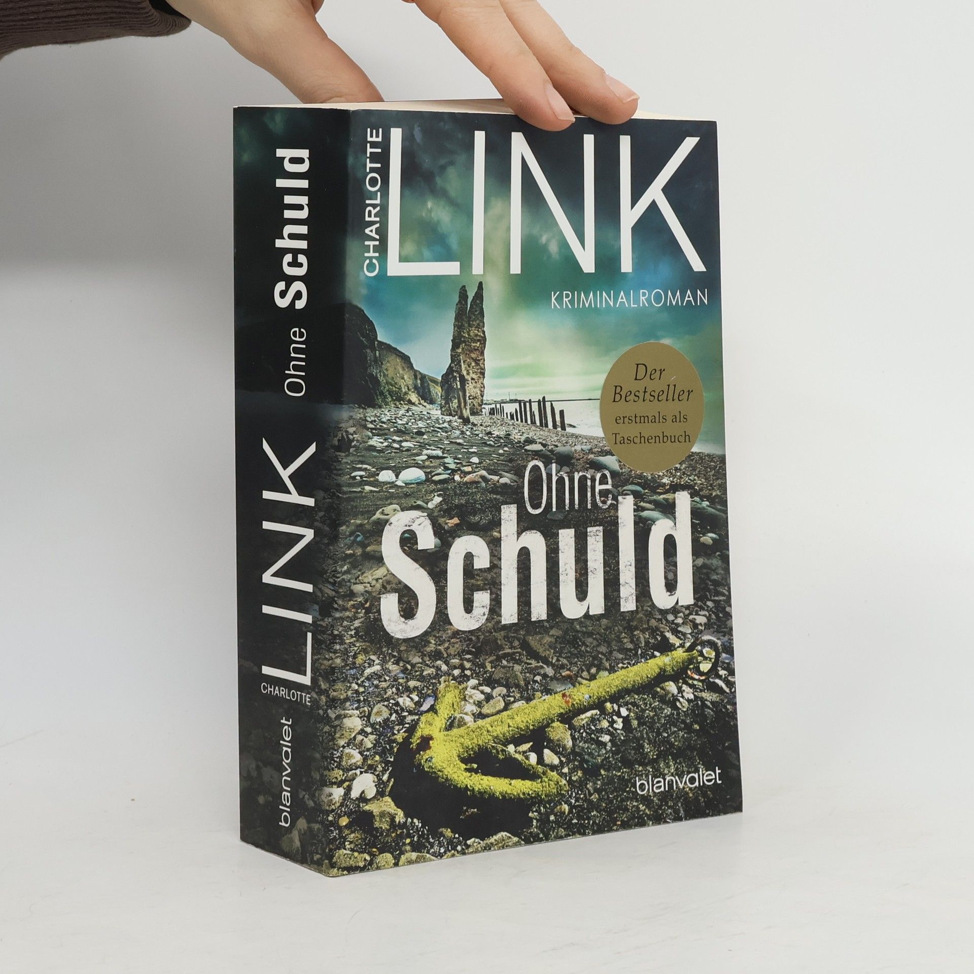 Charlotte Link Ohne Schuld